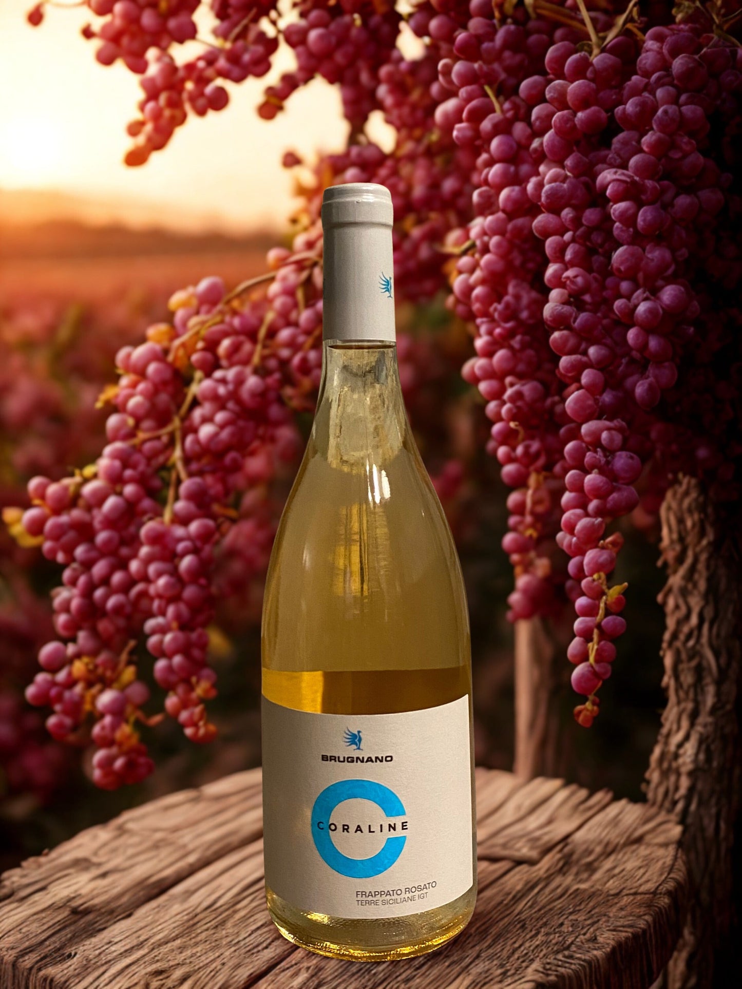 CORALINE-BRUGNANO BRUGNANO
