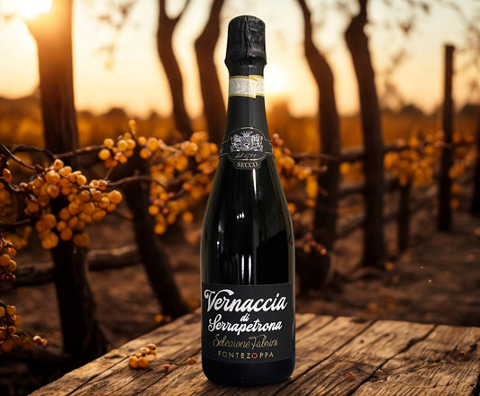 BLACK VERNACCIA OF SERRAPETRONA DRY SPARKLING WINE FABRINI-FONTEZOPPA