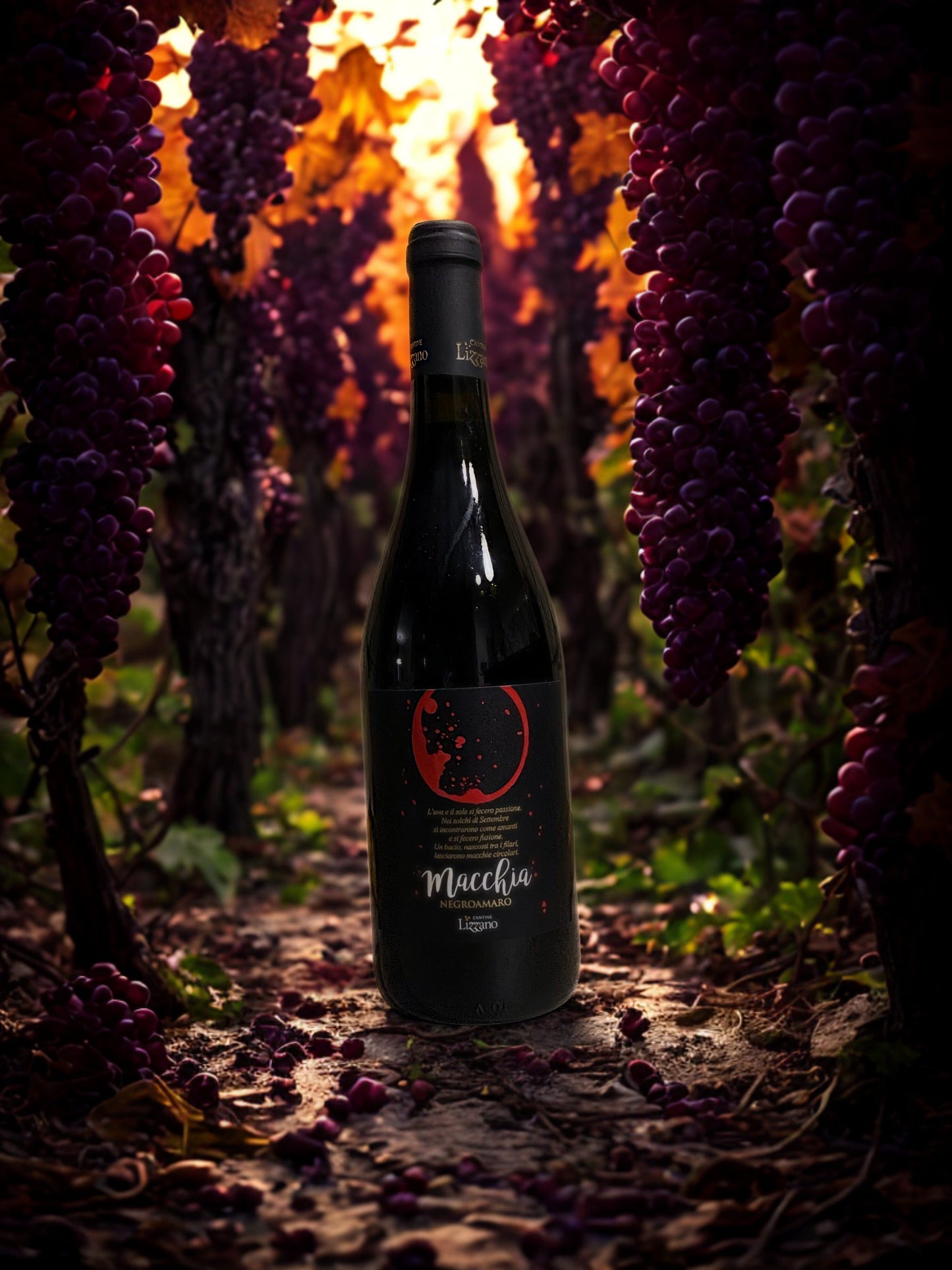 NEGROAMARO MACCHIA-CANTINE LIZZANO CANTINE LIZZANO