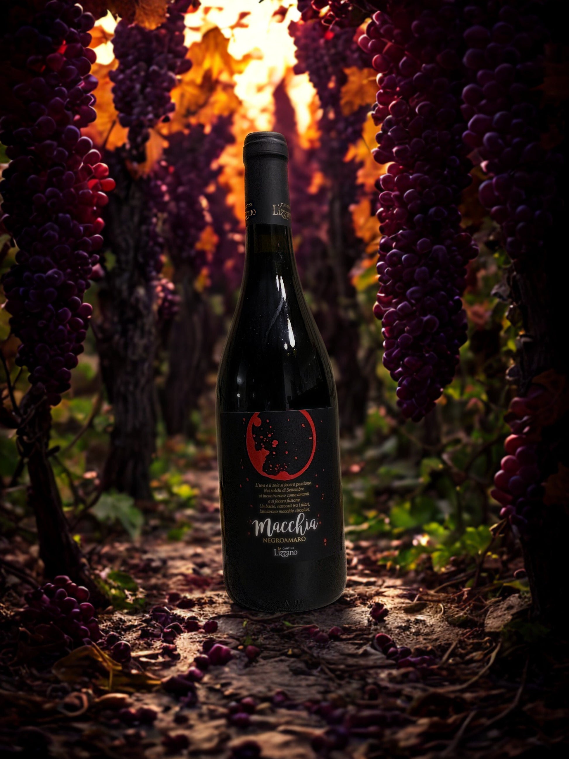 NEGROAMARO MACCHIA-CANTINE LIZZANO CANTINE LIZZANO