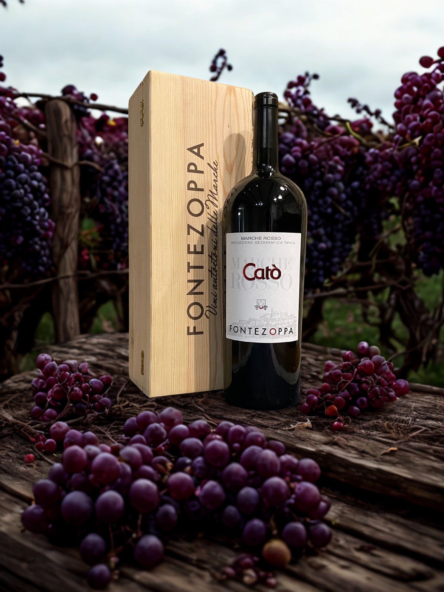 SANGIOVESE CATÒ 1,5L-FONTEZOPPA Fontezoppa