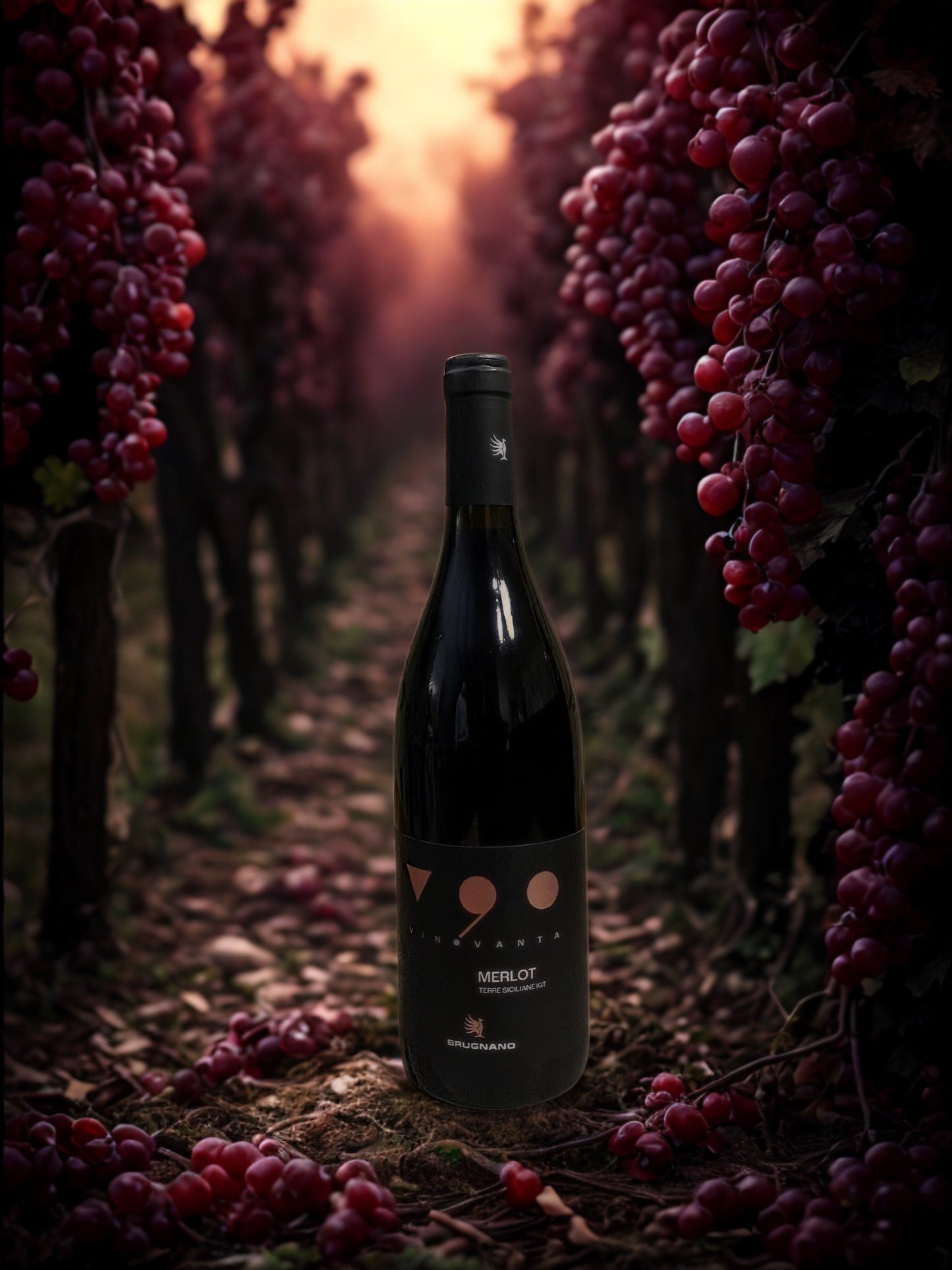 V 90 MERLOT-BRUGNANO BRUGNANO