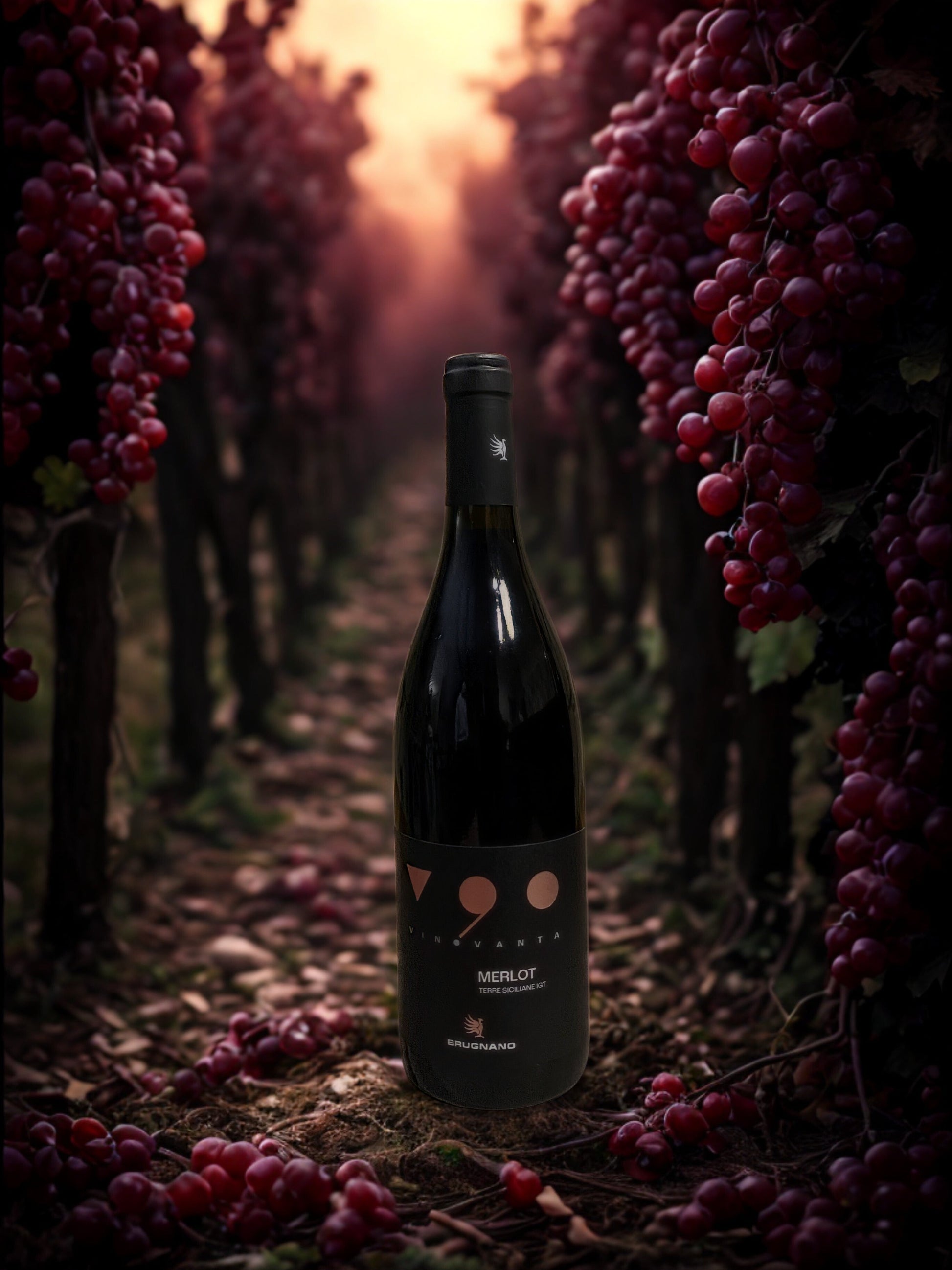 V 90 MERLOT-BRUGNANO BRUGNANO