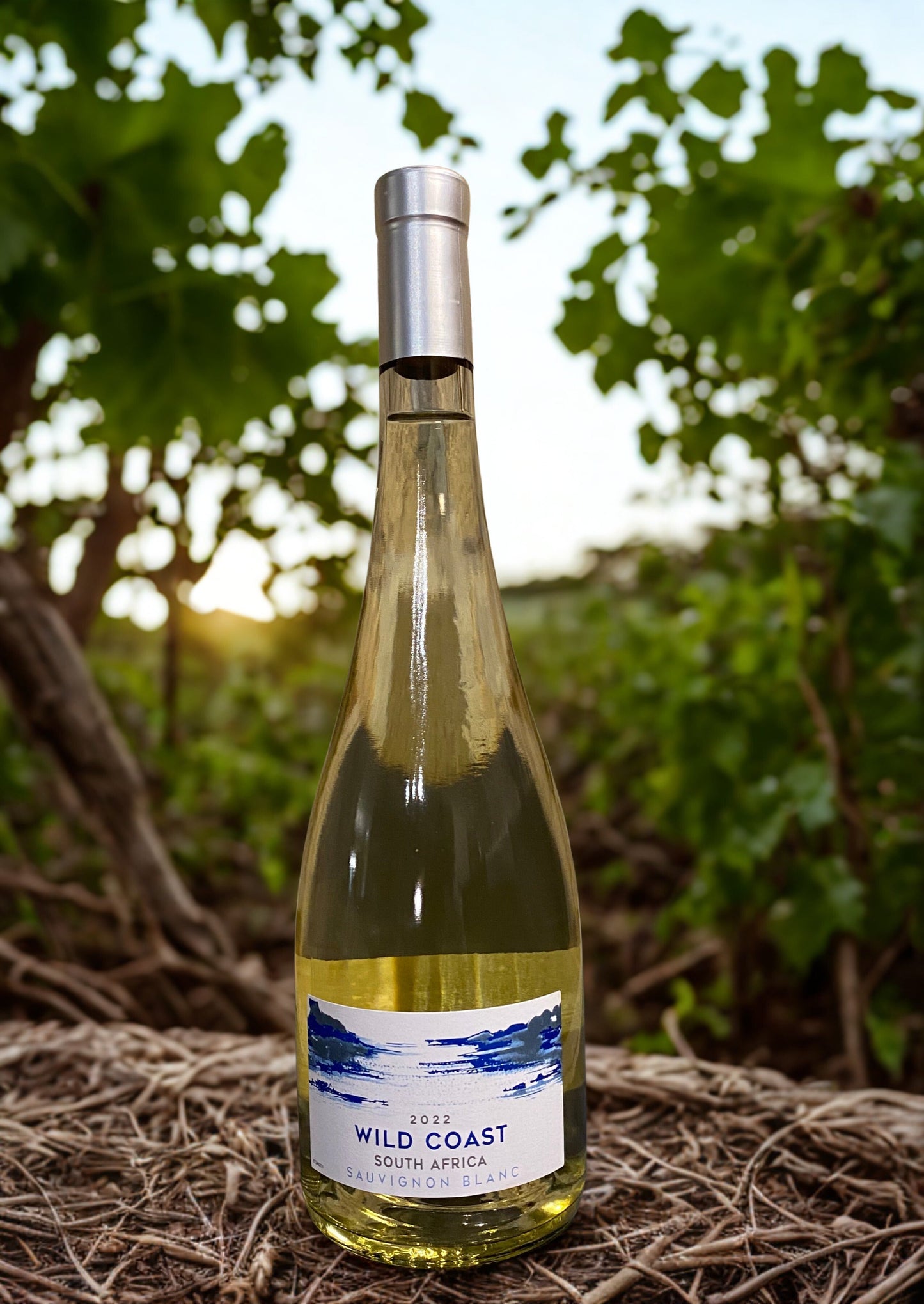 SOUTH AFRICA 2022 wild coast