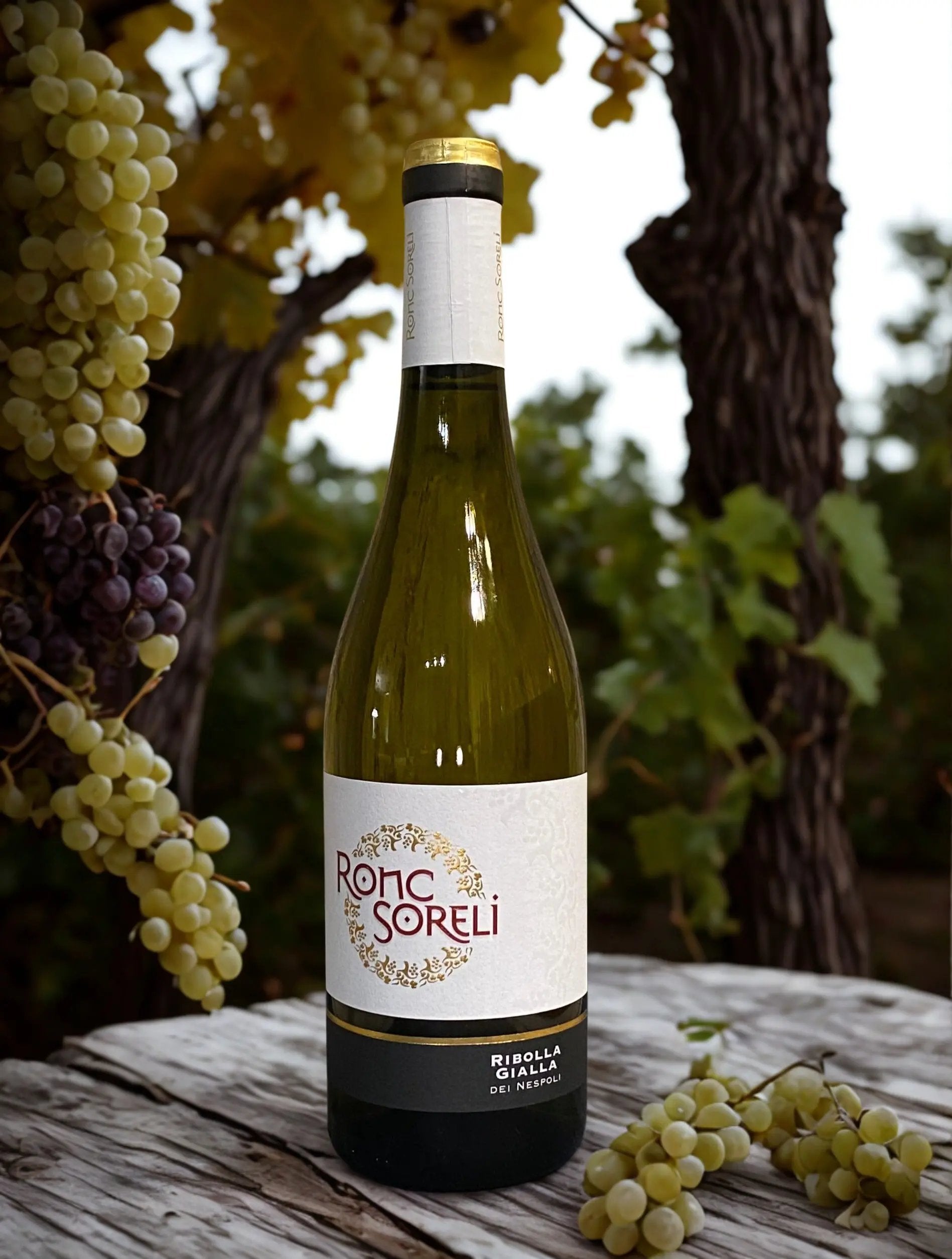 RIBOLLA GIALLA DEI NESPOLI-RONC SORELI Ronc Soreli