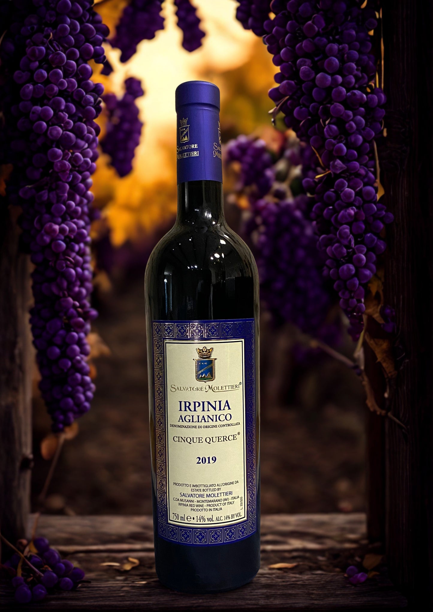 AGLIANICO IRPINIA FÜNF EICHEN 2019-SALVATORE MOLETTIERI