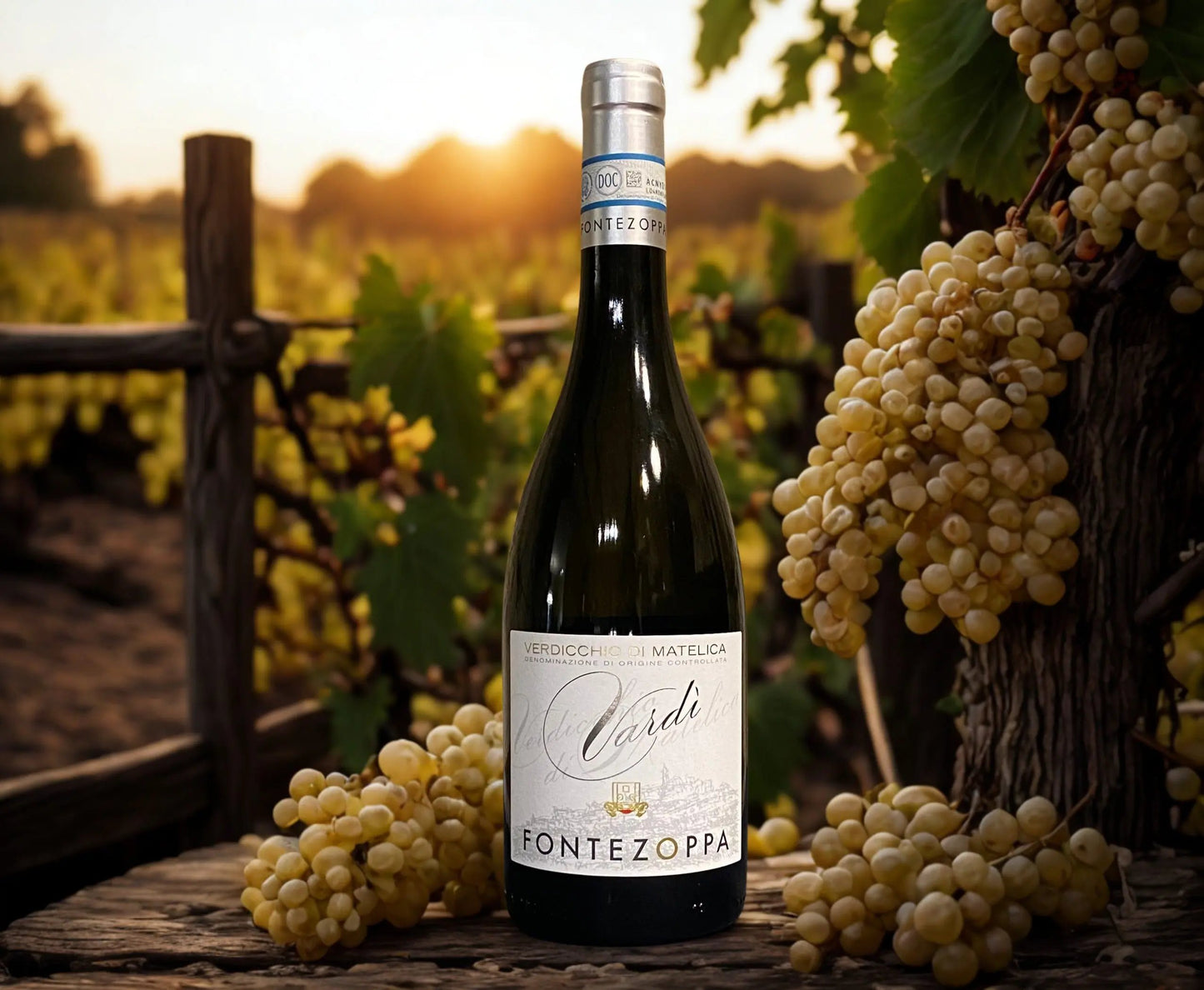 SANGIOVESE VARDÌ-FONTEZOPPA Fontezoppa