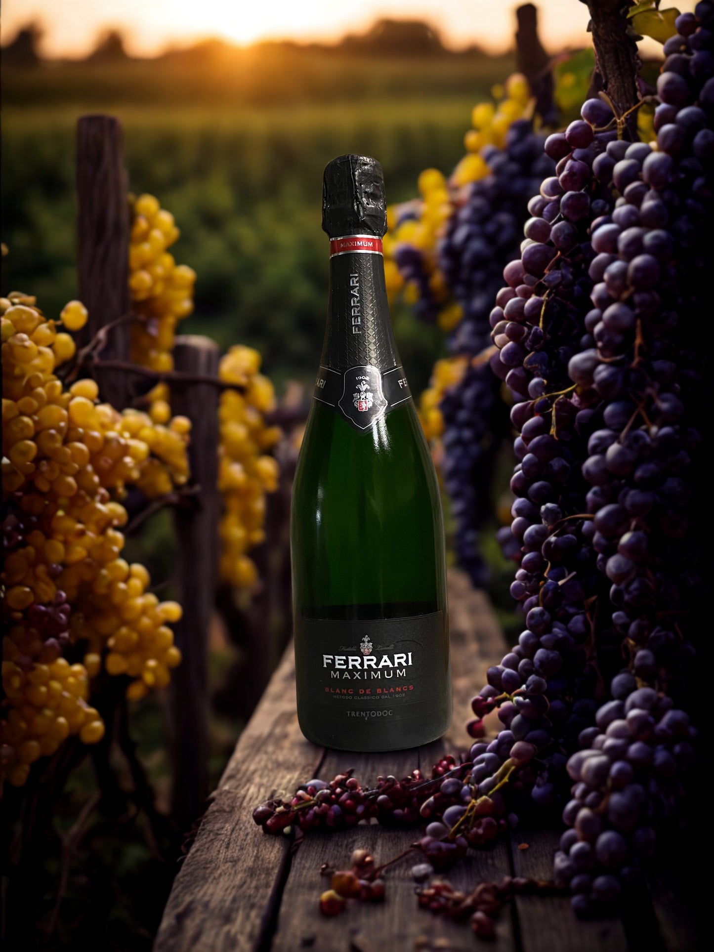 FERRARI MAXIMUM BLANC DE BLANCS-FRATELLI LUNELLI