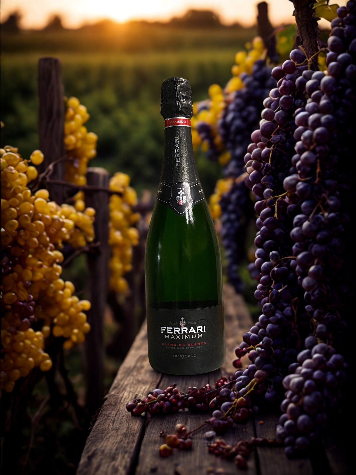 FERRARI MAXIMUM BLANC DE BLANCS-FRATELLI LUNELLI FRATELLI LUNELLI