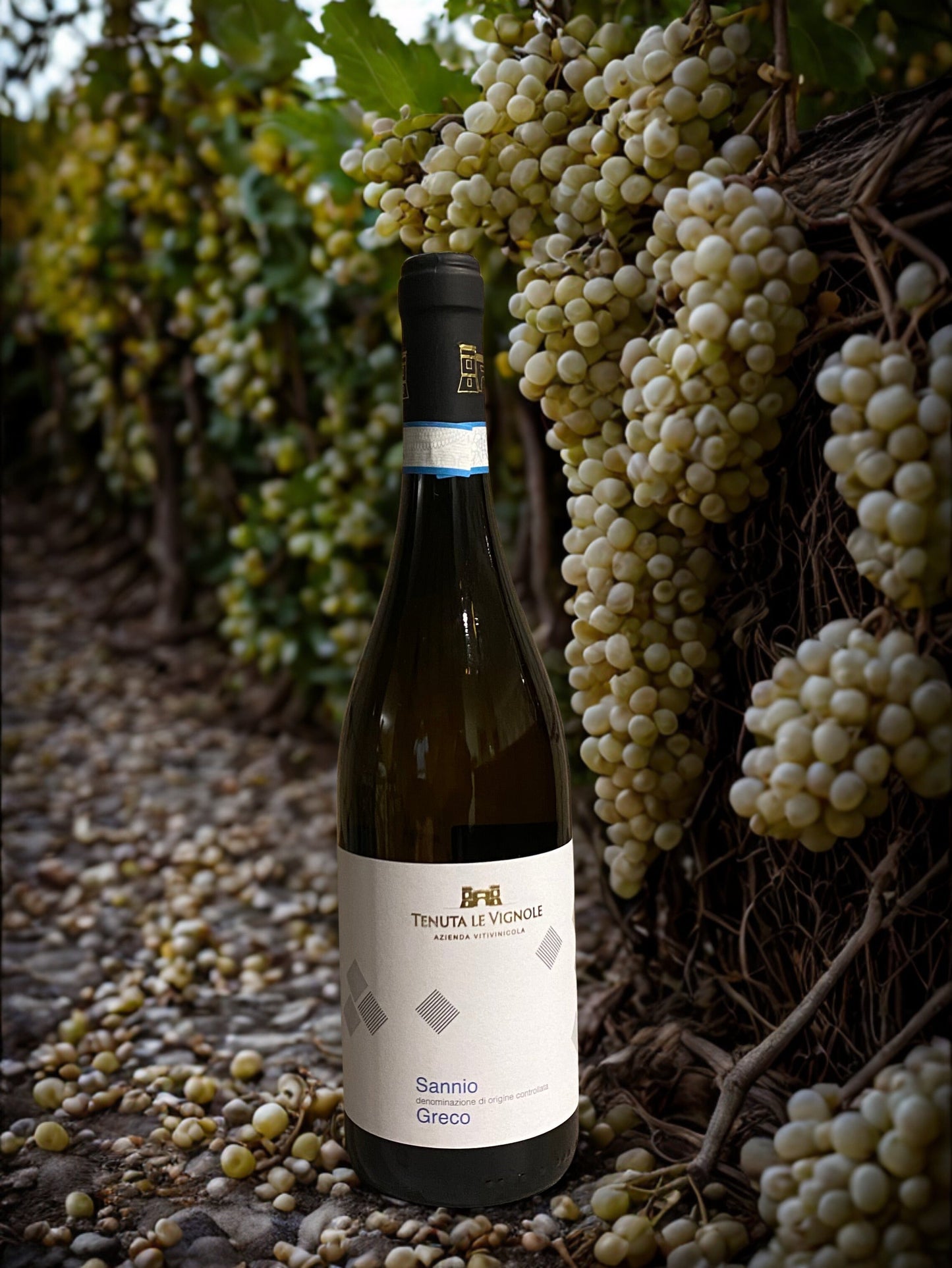 GRECO DEL SANNIO DOC-TENUTA LE VIGNOLE TENUTA LE VIGNOLE