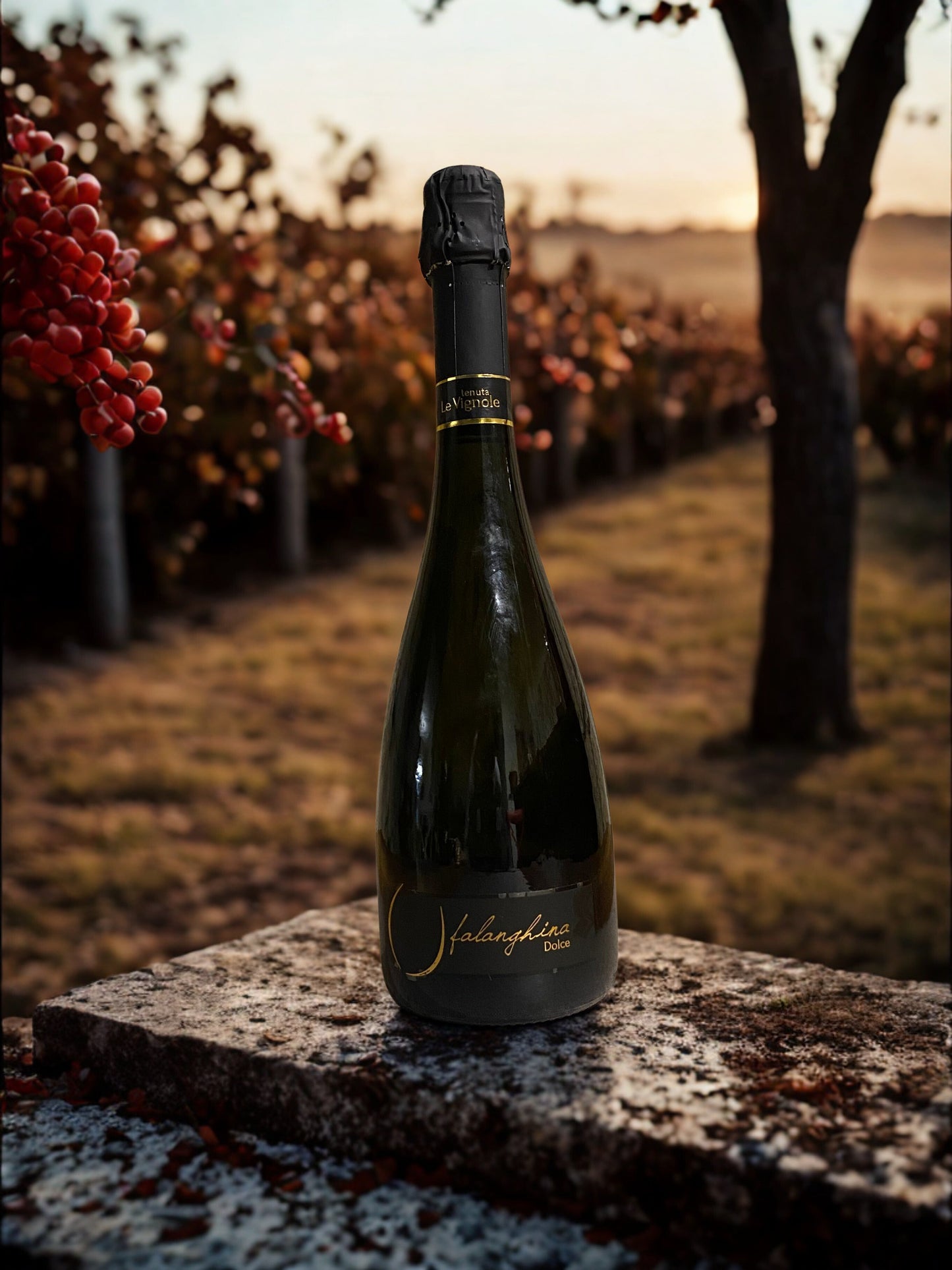 FALANGHINA DOLCE-TENUTA LE VIGNOLE TENUTA LE VIGNOLE