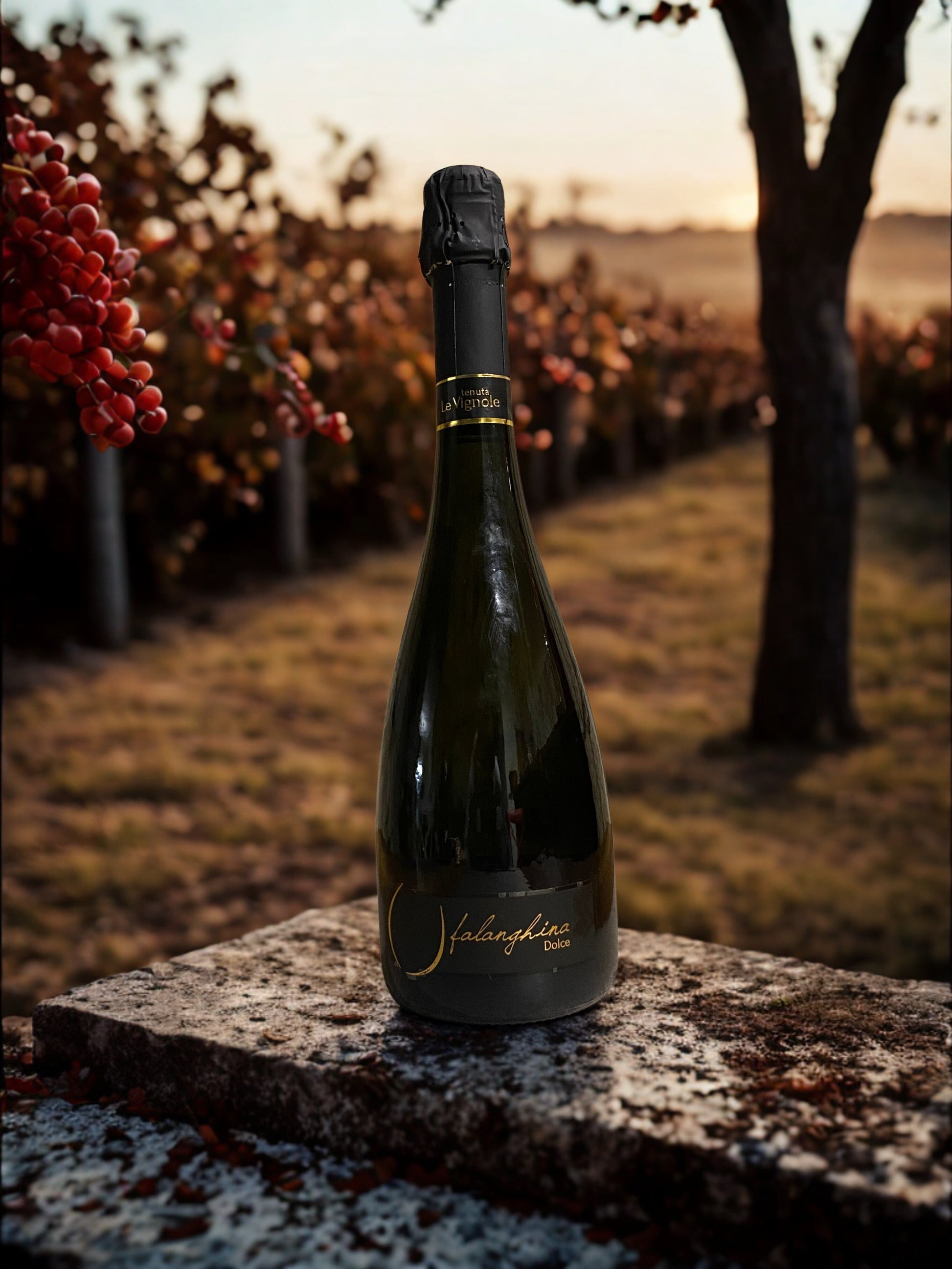 FALANGHINA DOLCE-TENUTA LE VIGNOLE TENUTA LE VIGNOLE