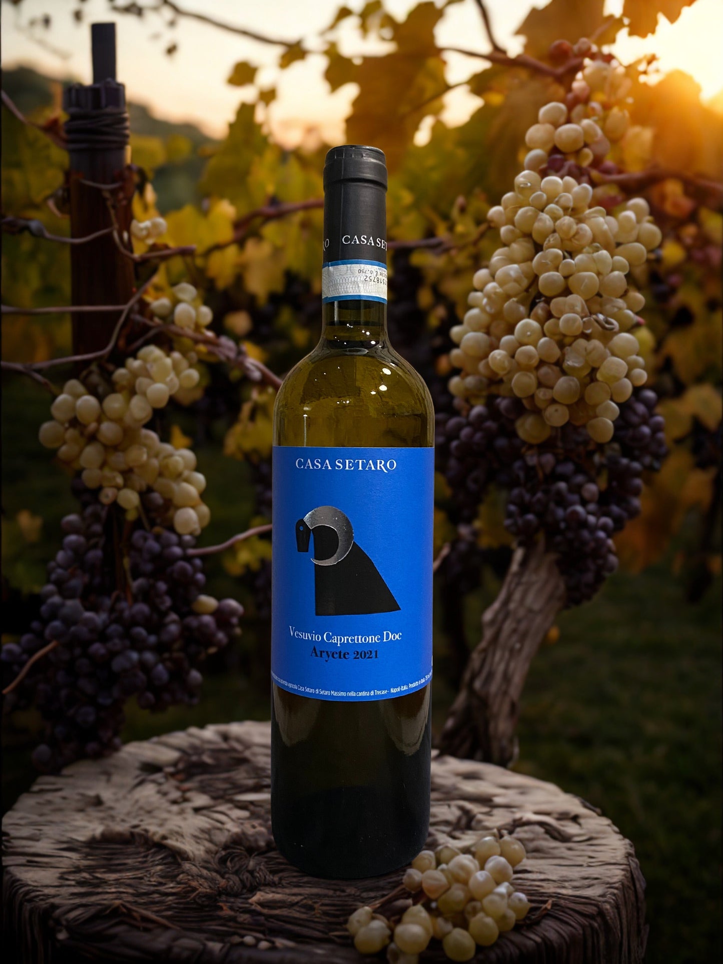 CAPRETTONE VESUVIO DOC ARYETE 2021-CASA SETARO casa setaro