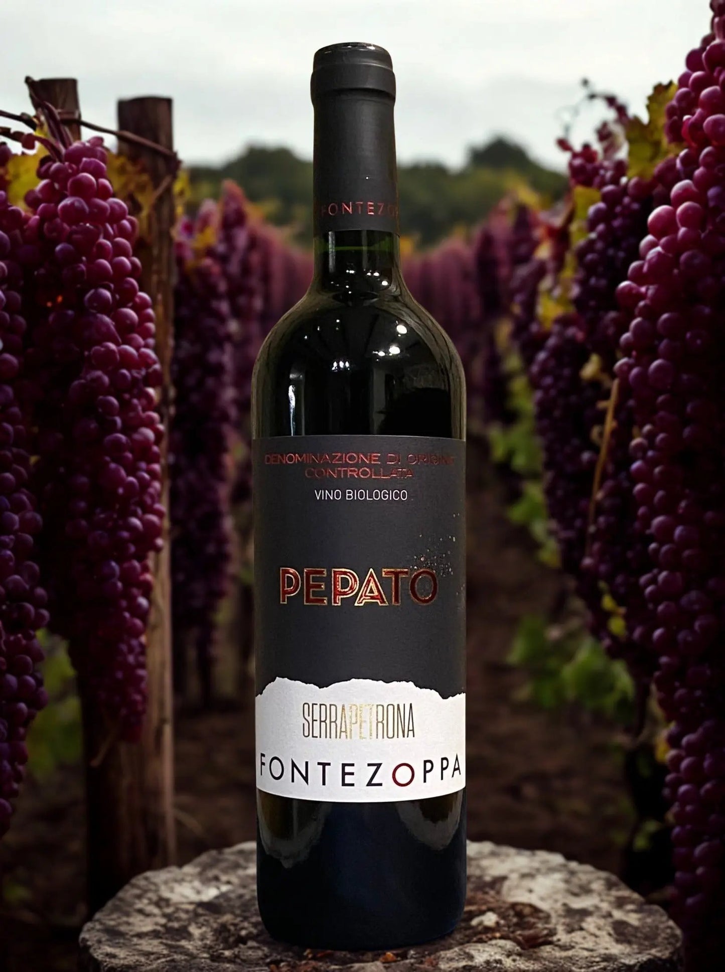 VERNACCIA NERA PEPATO-FONTEZOPPA Fontezoppa