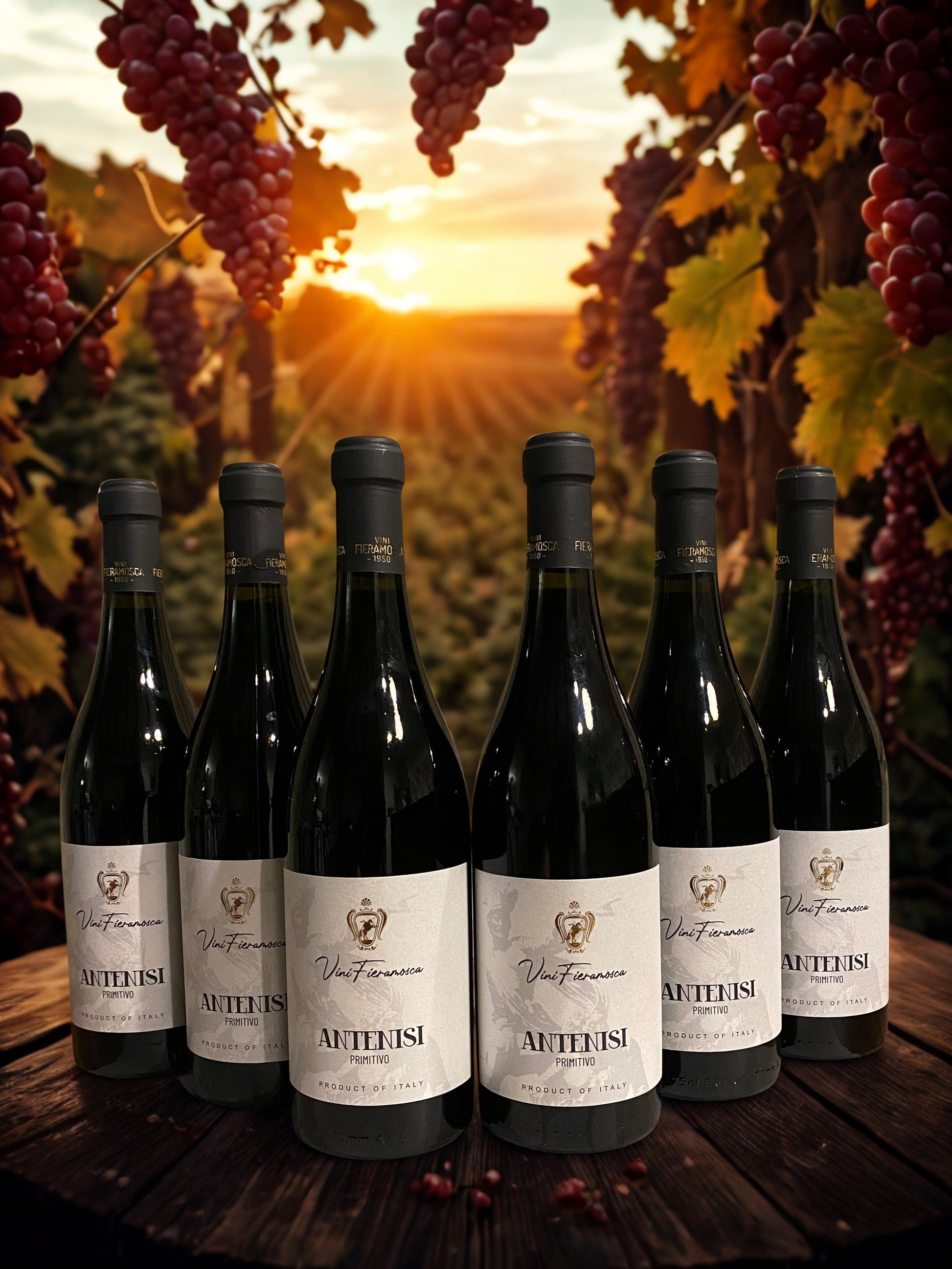 BUNDLE PRIMITIVO ANTENISI PRENDI 6 PAGHI 5-FIERAMOSCA Fieramosca