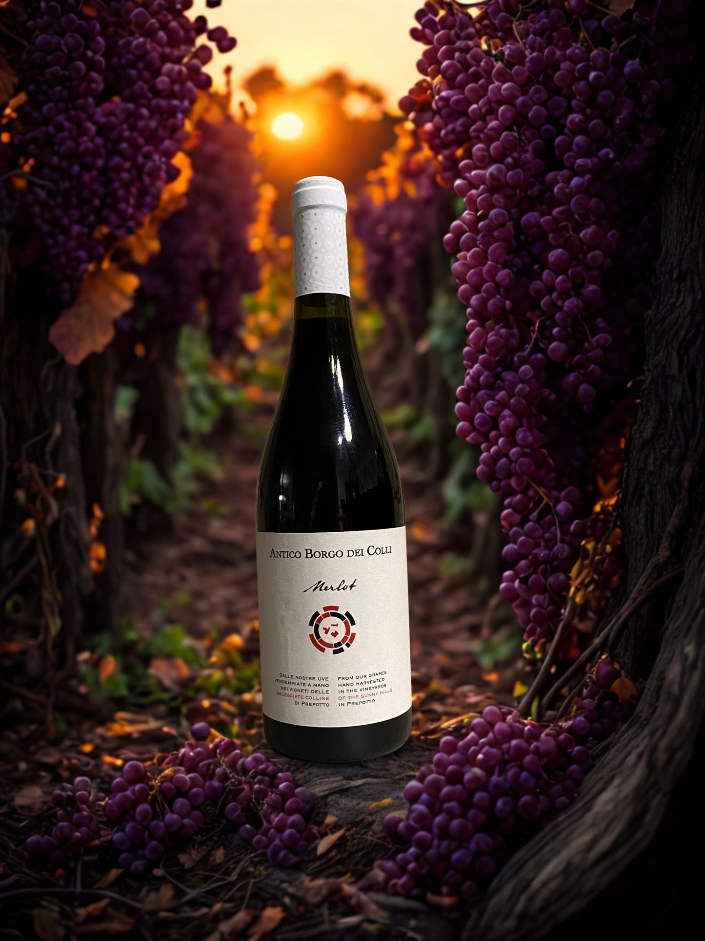 MERLOT DOC-ANTICO BORGO DEI COLLI