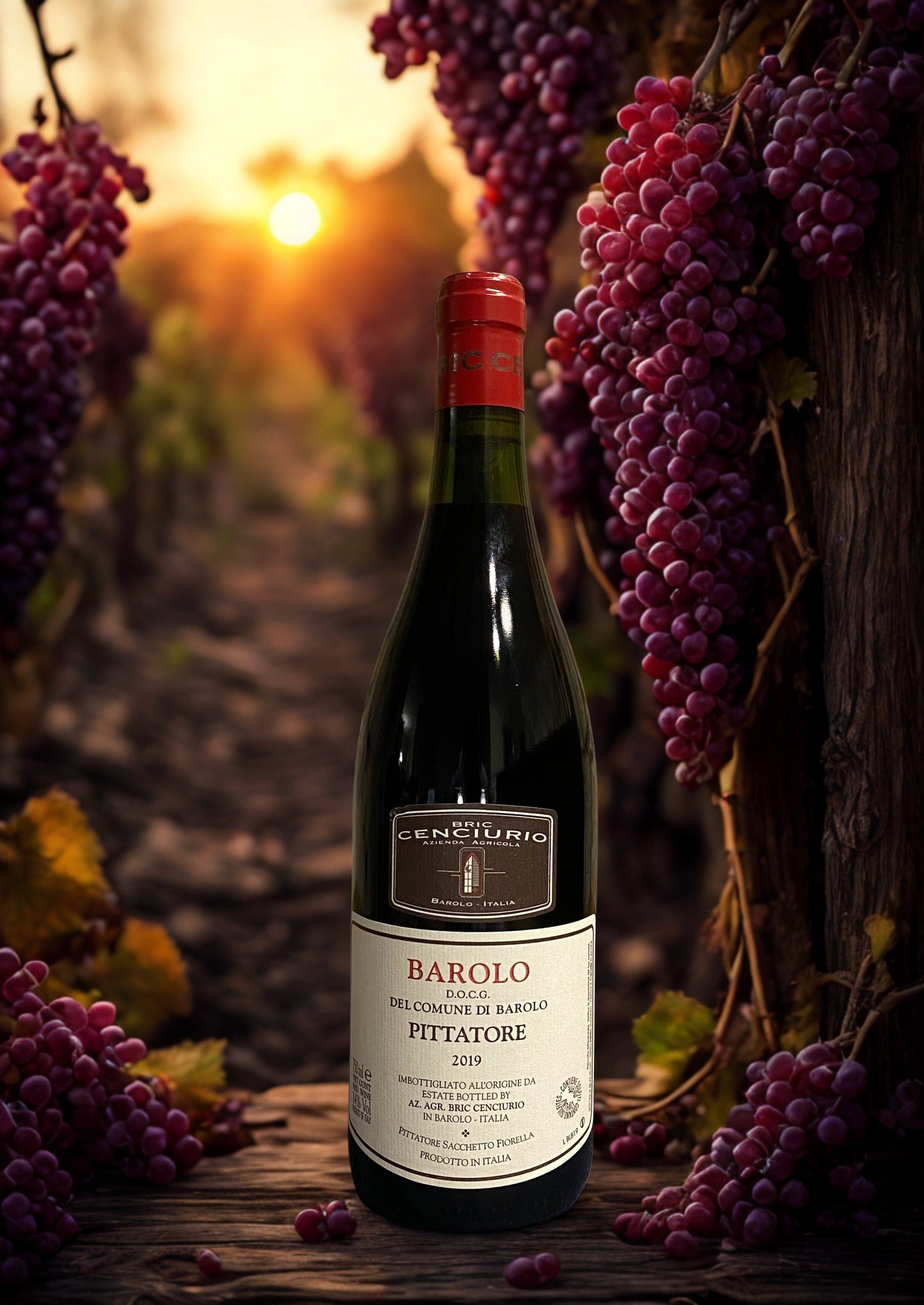 NEBBIOLO BAROLO DOCG PITTATORE 2019 Bric Cenciurio