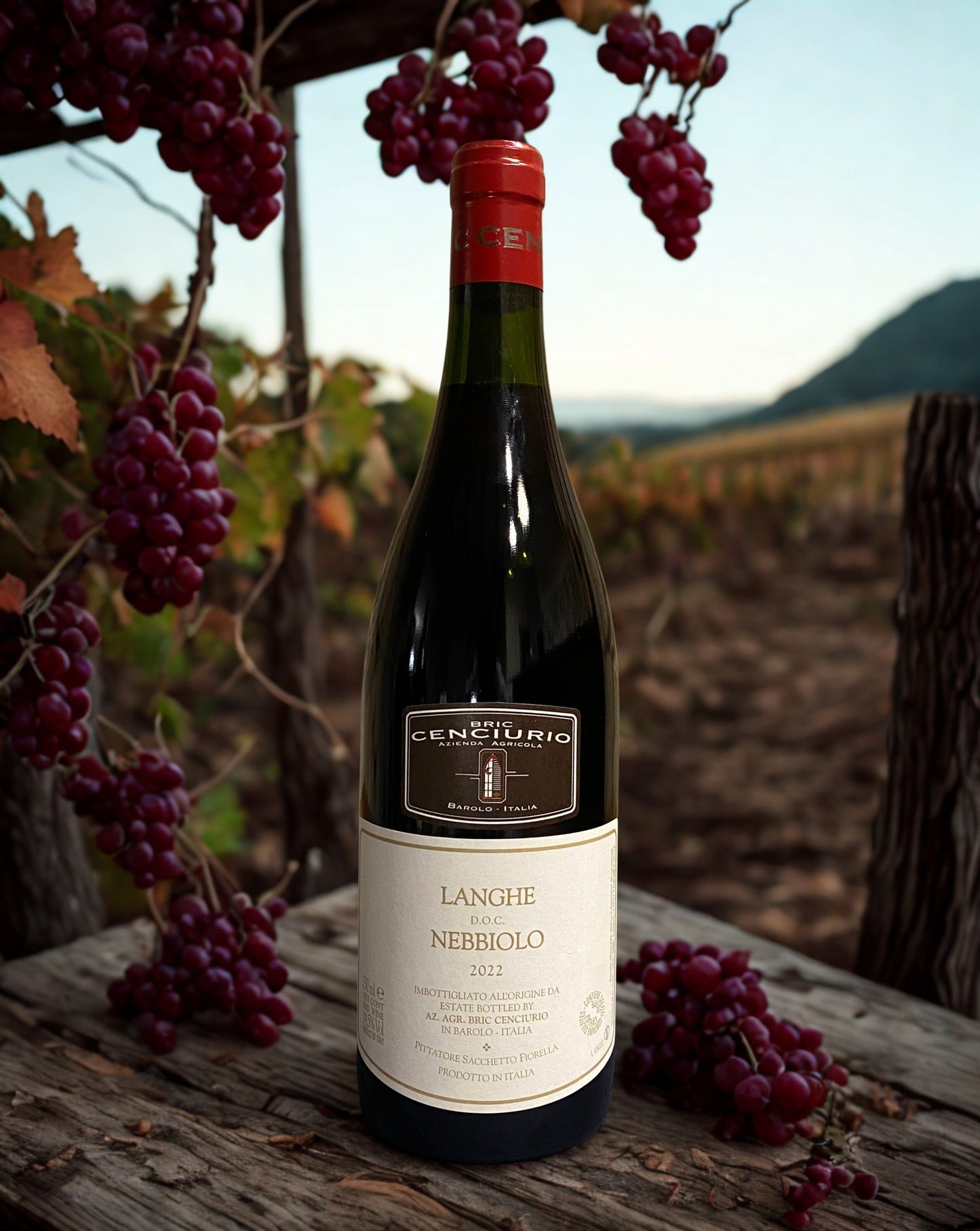 NEBBIOLO LANGHE DOC 2022 Bric Cenciurio