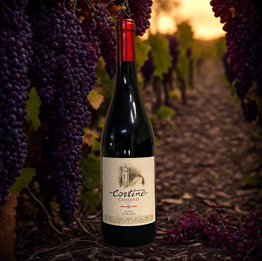 SANGIOVESE CANAIOLO CORTINE 2021-PIEVE DI CAMPOLI PIEVE DI CAMPOLI