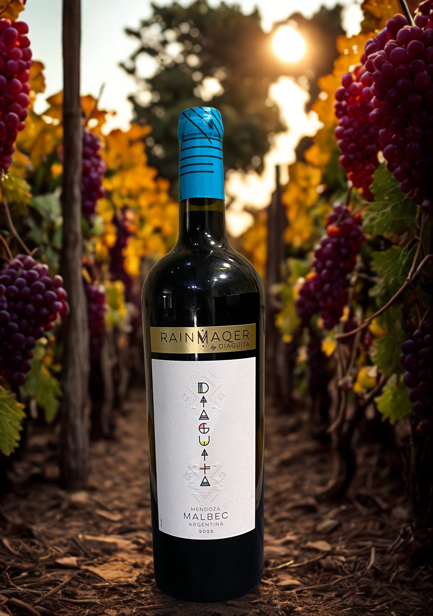 MALBEC MENDOZA 2022 Diaguita