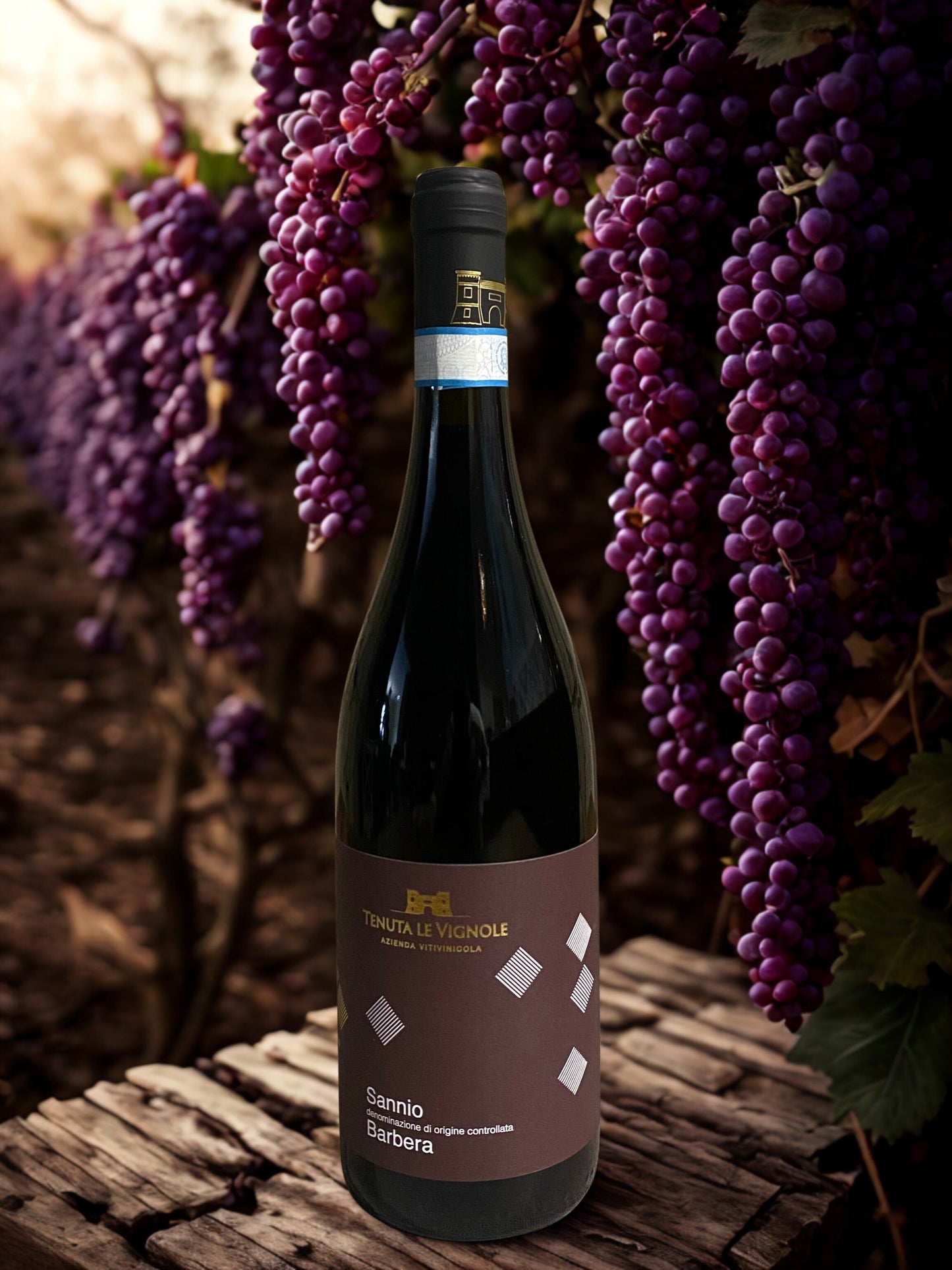 SANNIO BARBERA DOC-TENUTA LE VIGNOLE TENUTA LE VIGNOLE