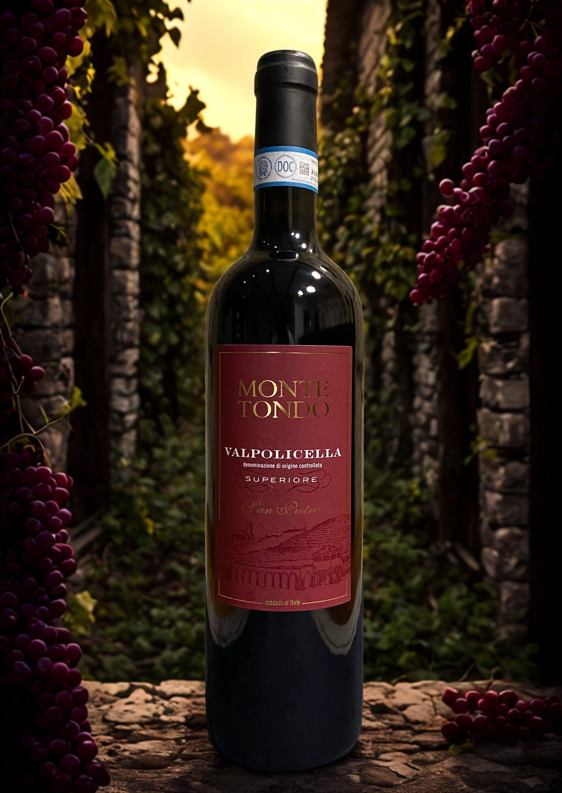 CORVINA SAN PIETRO VALPOLICELLA DOC SUPERIORE-MONTE TONDO Monte tondo