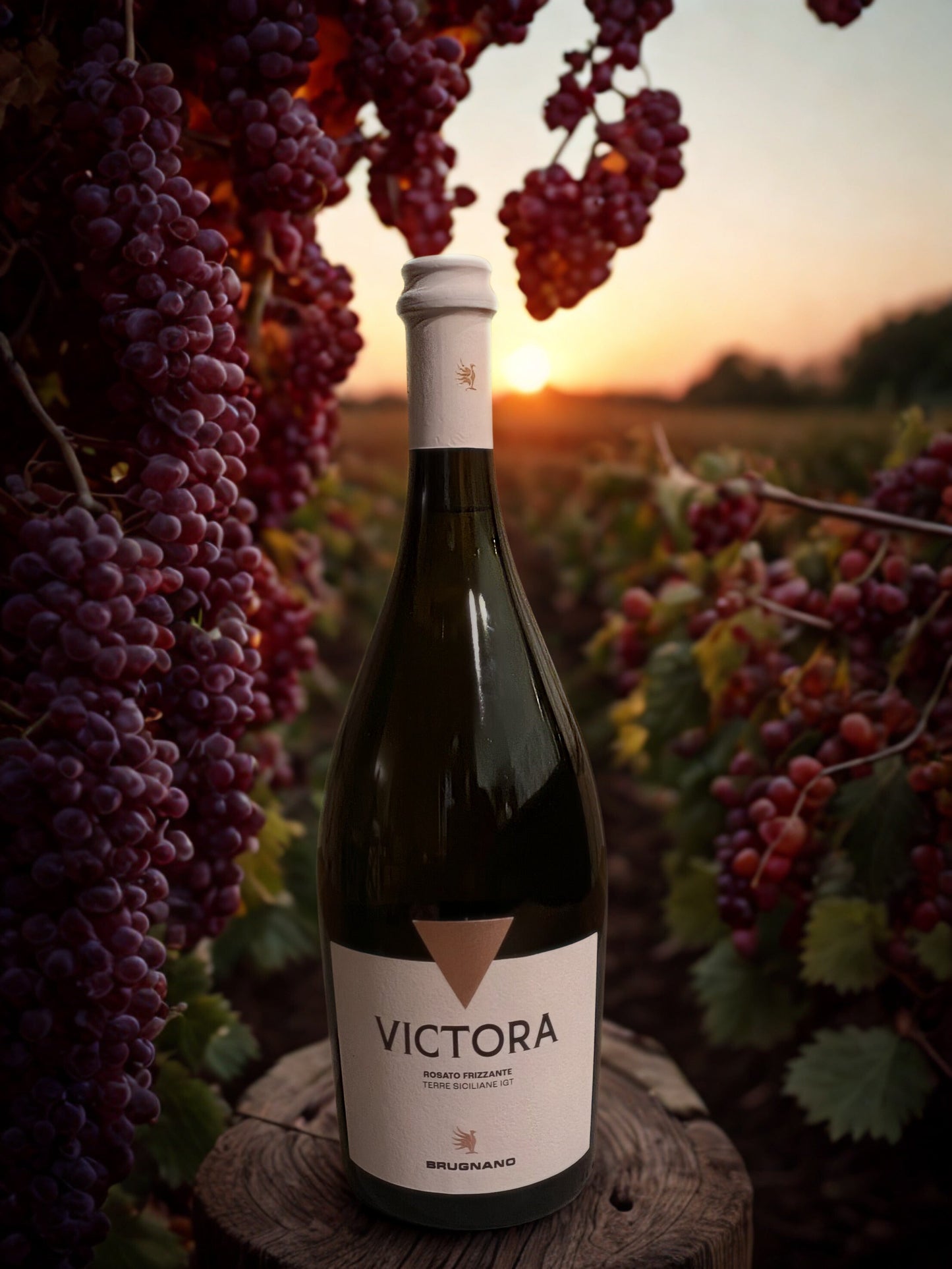 VICTORA-BRUGNANO BRUGNANO