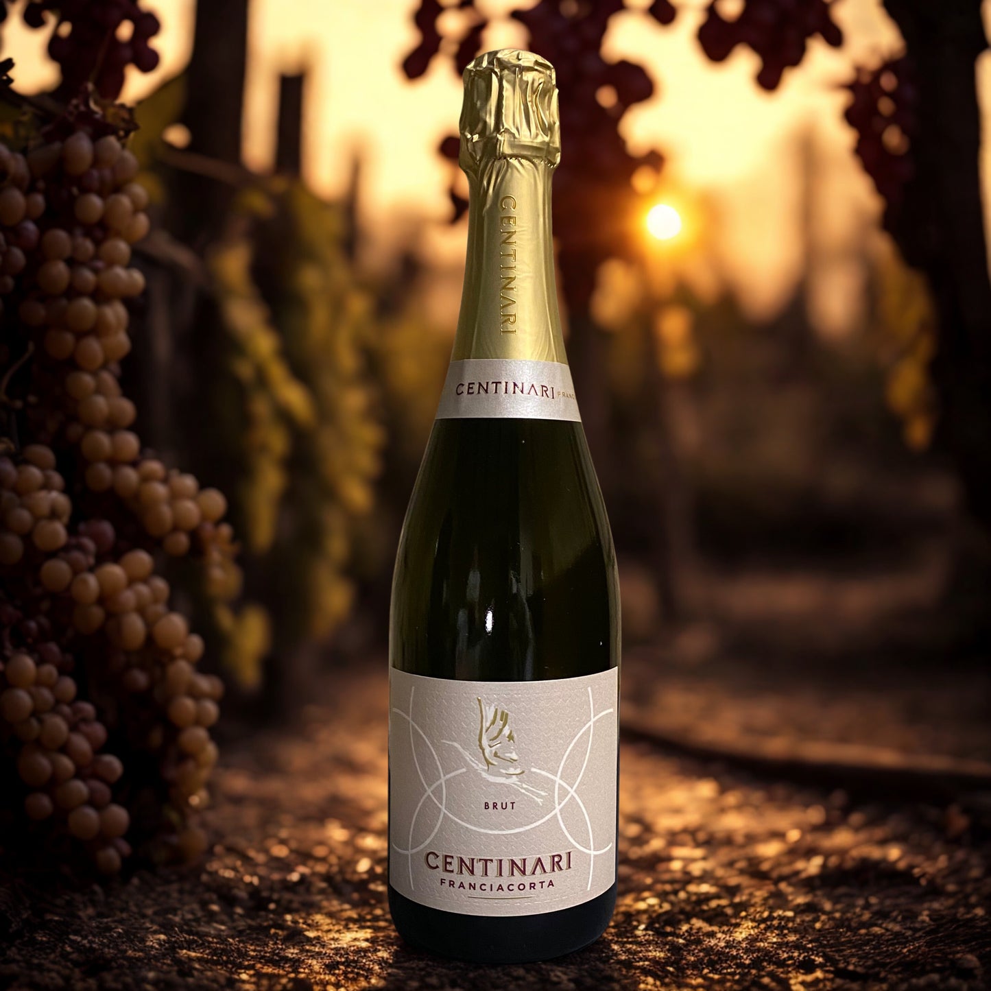 CHARDONNAY FRANCIACORTA BRUT-CENTINARI