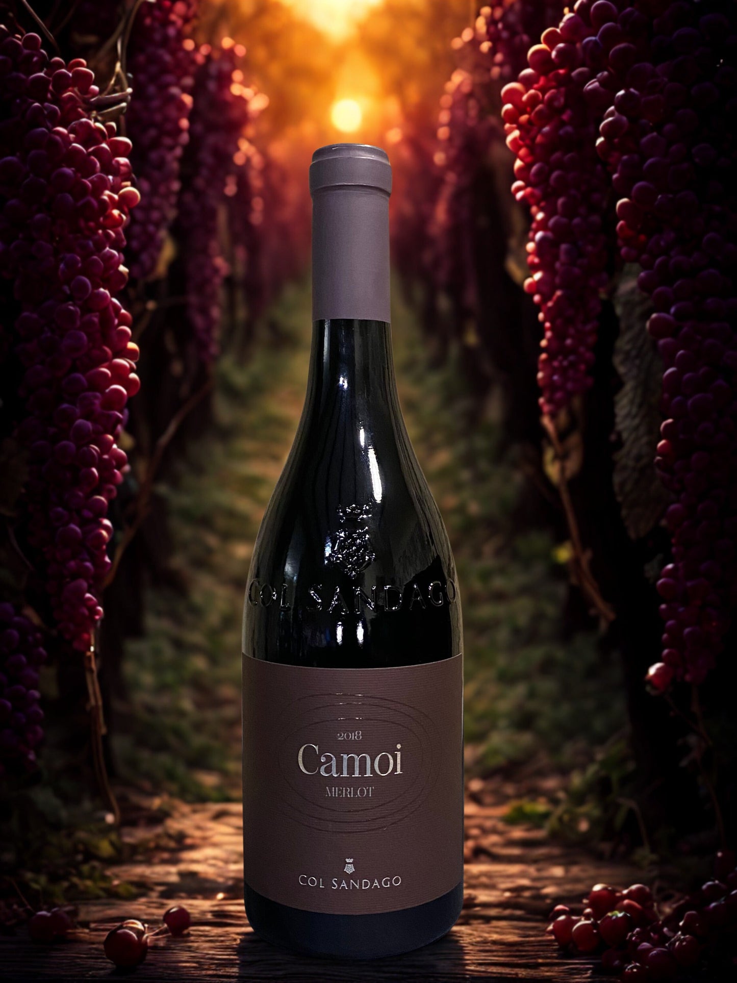 MERLOT CAMOI 2018 Col Sandago