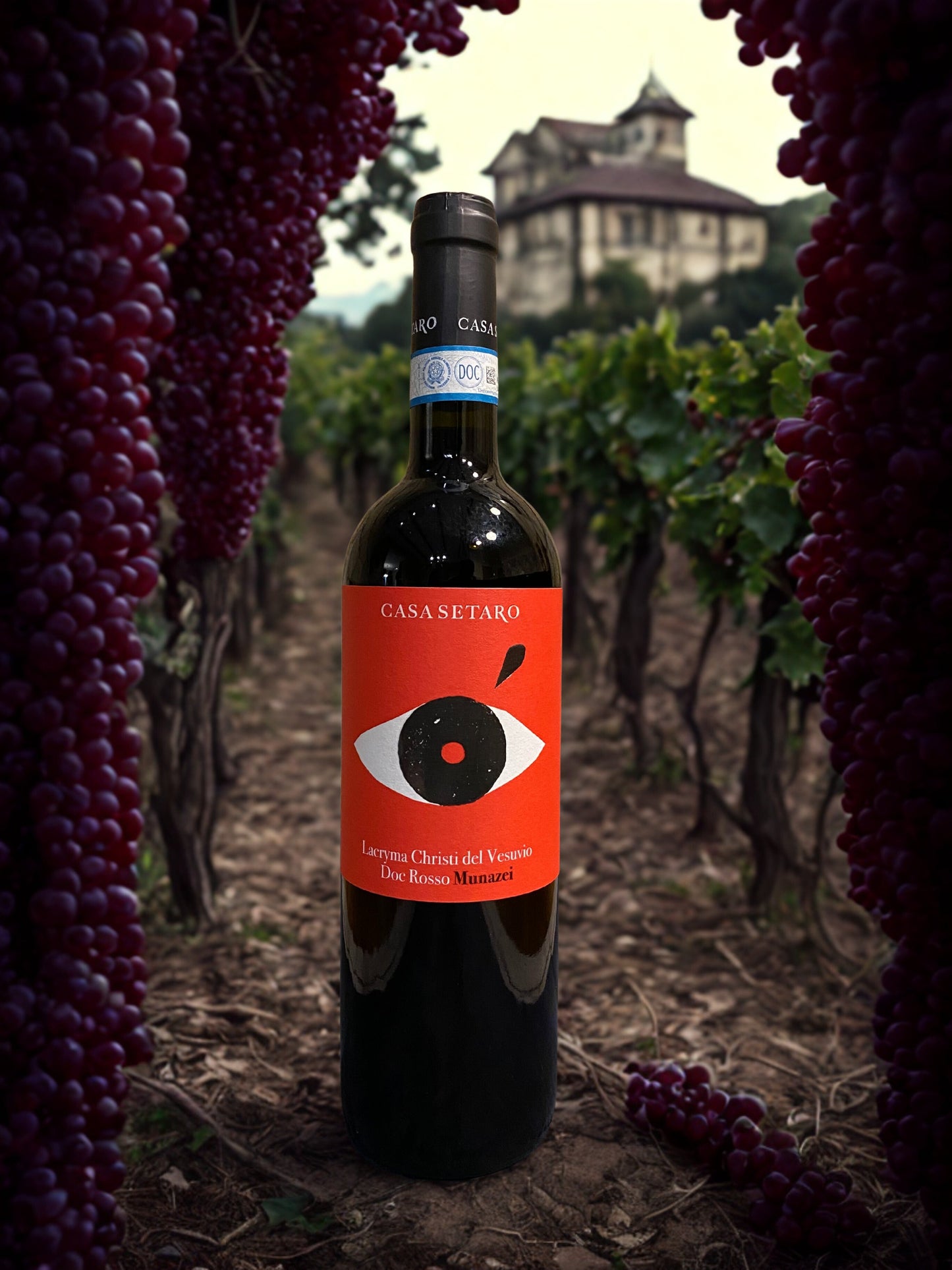 PIEDIROSSO LACRYMA CHRISTI DEL VESUVIO DOC ROSSO MUNAZEI-CASA SETARO casa setaro