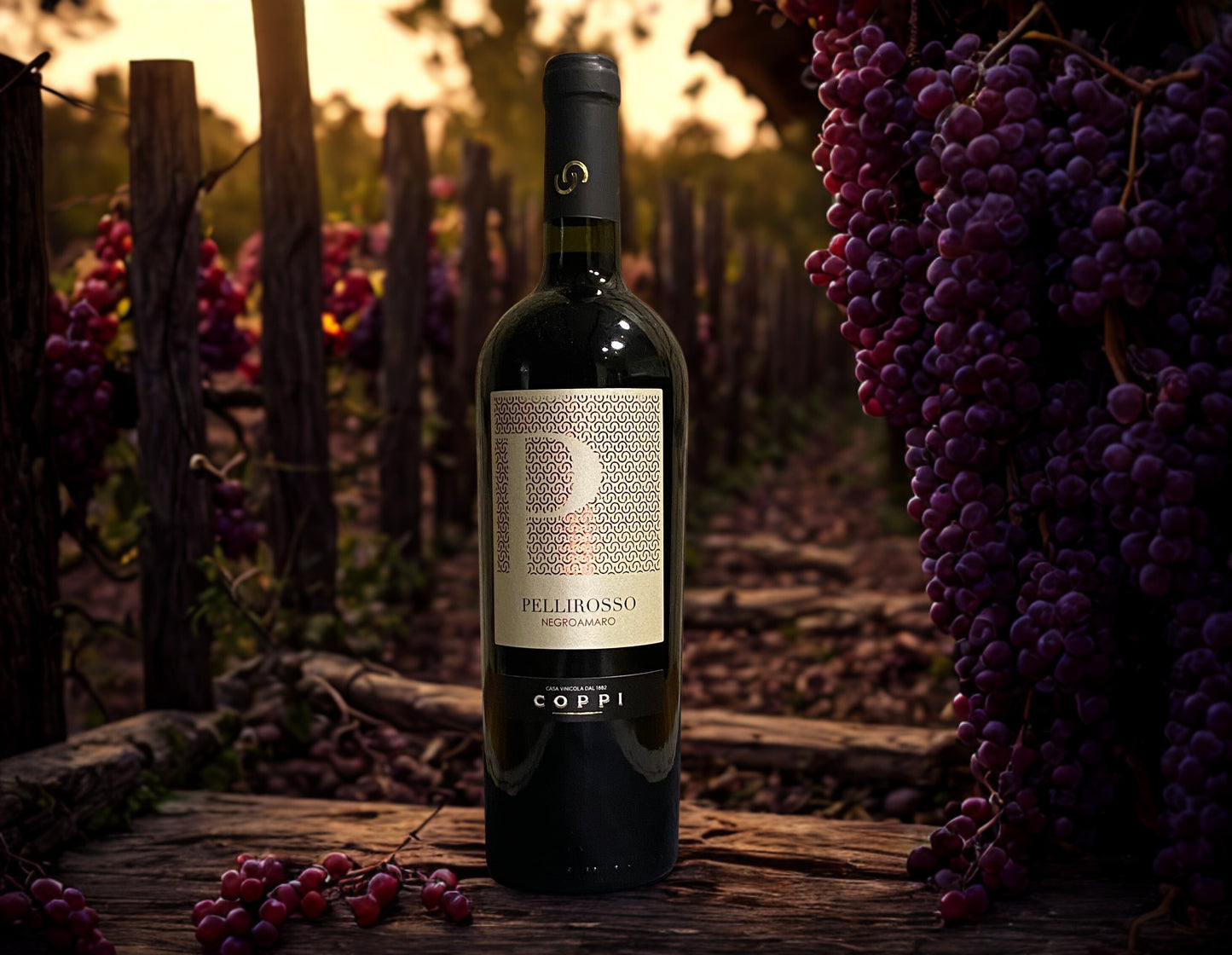 NEGROAMARO PELLIROSSO IGP SALENTO-COPPI
