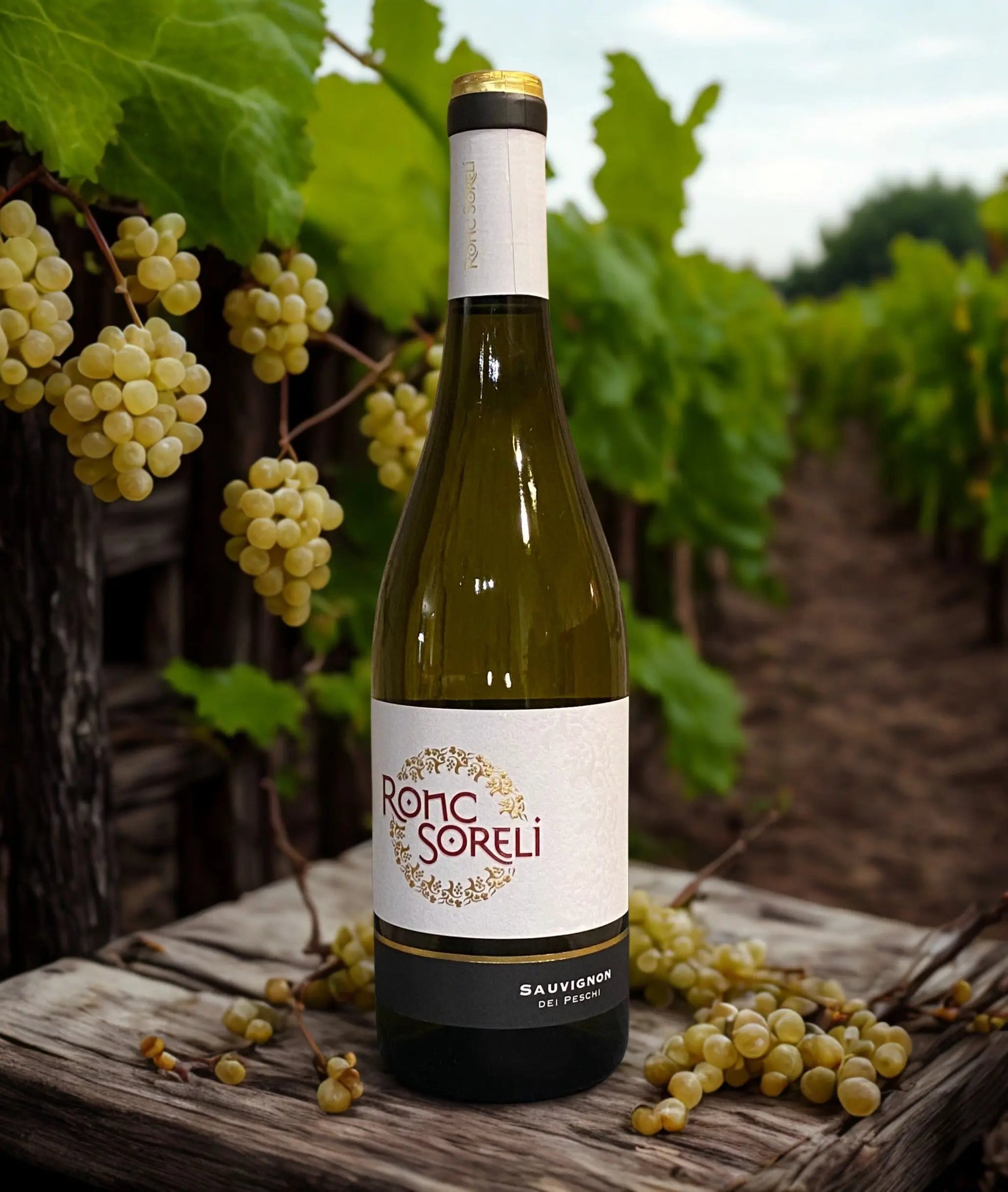 SAUVIGNON DEI PESCHI-RONC SORELI Ronc Soreli