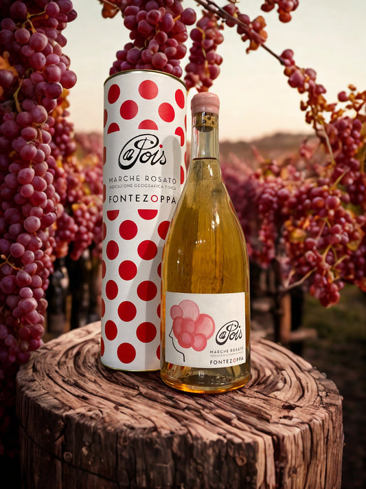 PINOT NERO A POIS 1,5L- FONTEZOPPA