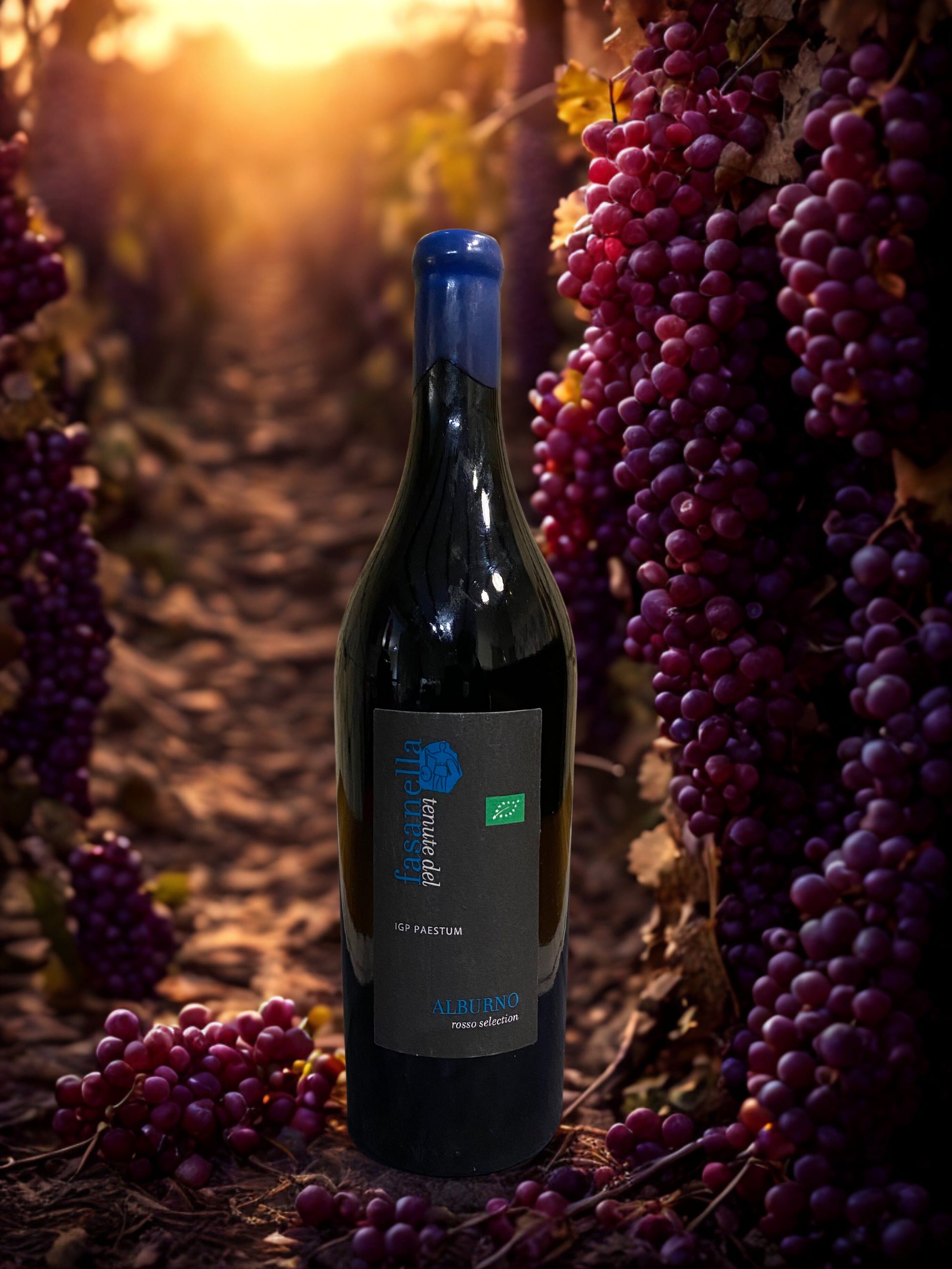 AGLIANICONE ALBURNO ROSSO SELECTION IGP 2016-TENUTE DEL FASANELLA tenuta del fasanella