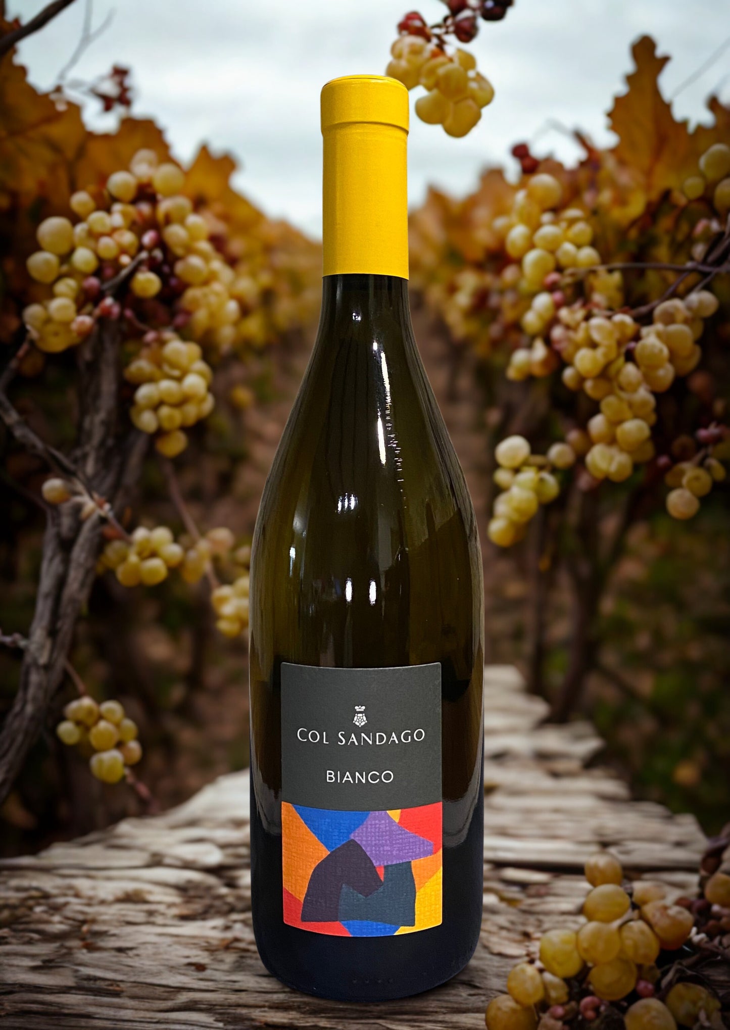 CHARDONNAY UND MANZONI WHITE-COL SANDAGO