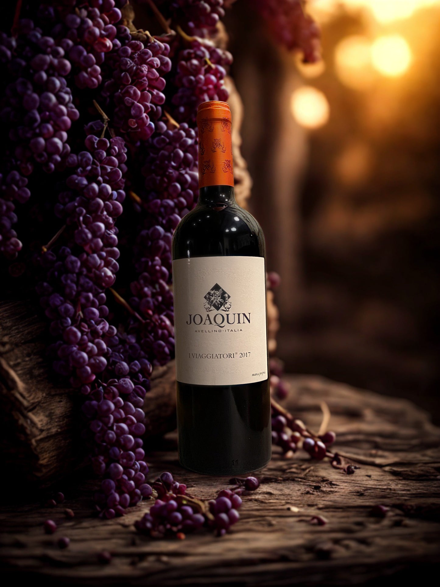 AGLIANICO "I VIAGGIATORI" 2017-JOAQUIN JOAQUIN