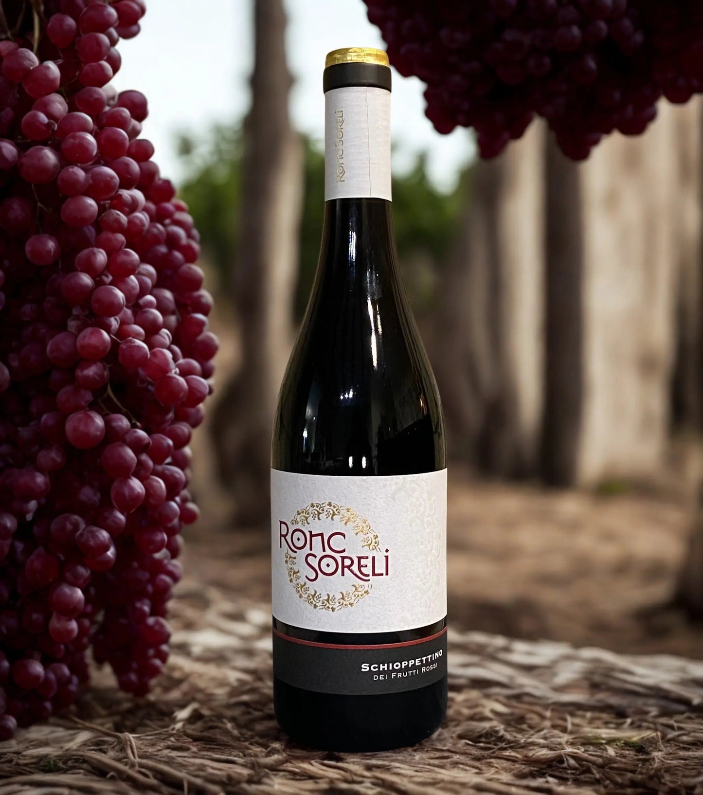 SCHIOPPETTINO DEI FRUTTI ROSSI-RONC SORELI Ronc Soreli