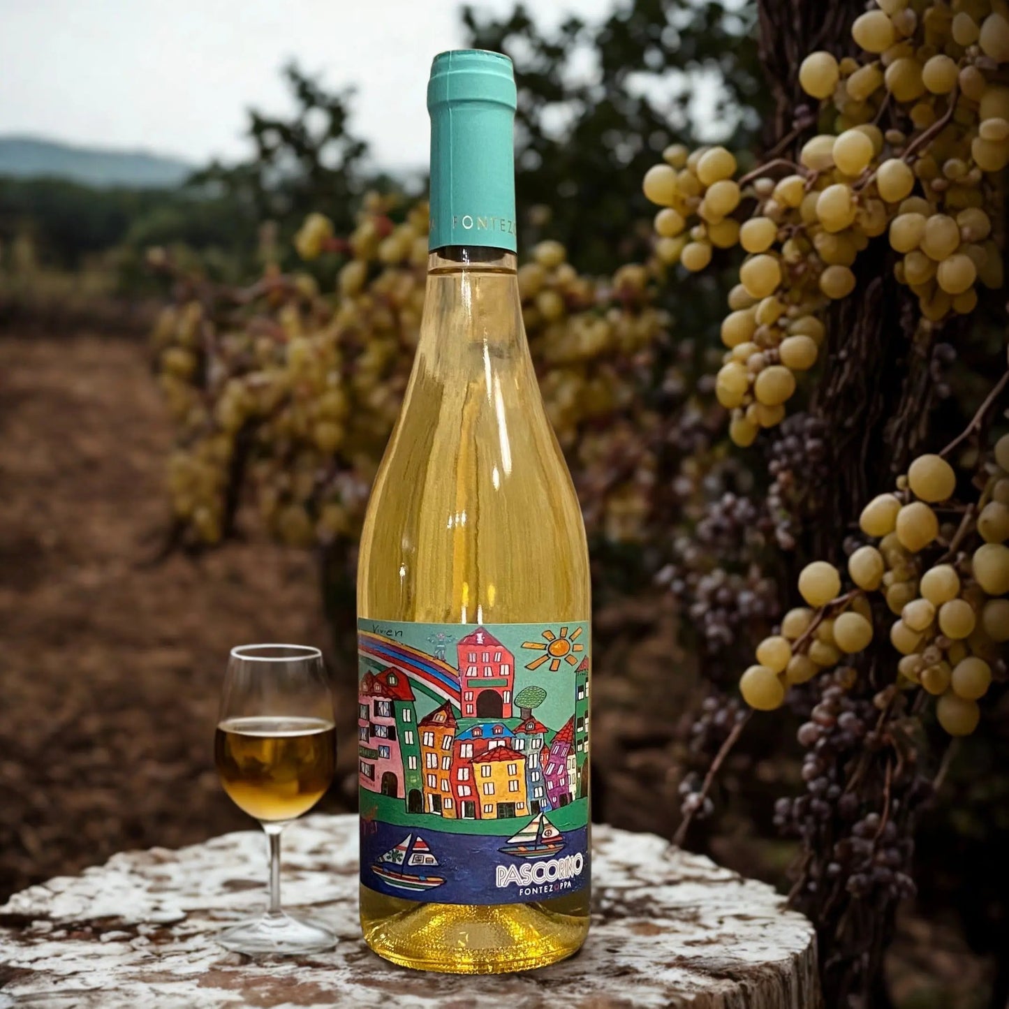 PASCORINO-FONTEZOPPA Fontezoppa