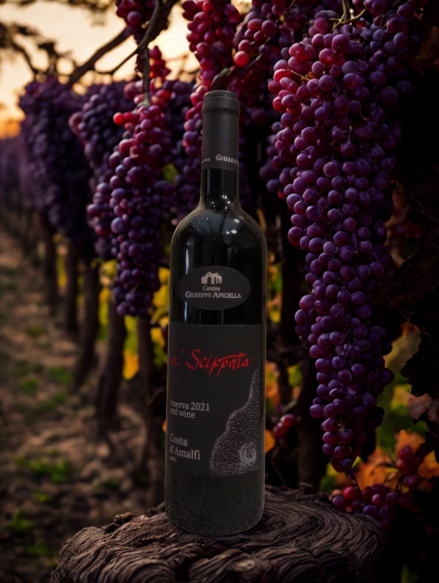 A SCIPPATA RISERVA 2021 D.O.C.-CANTINE GIUSEPPE APICELLA Giuseppe Apicella