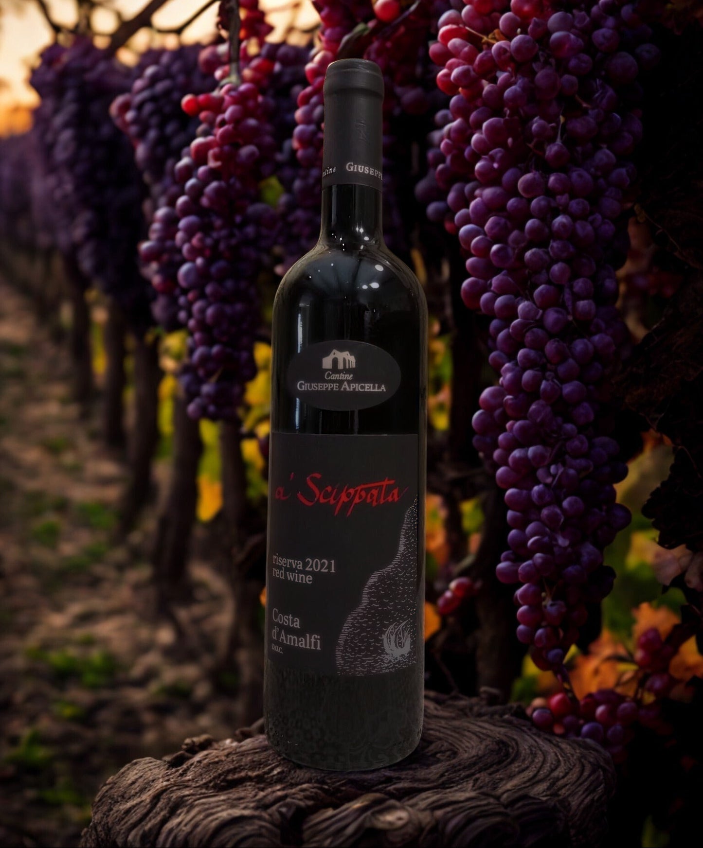 A SCIPPATA RISERVA 2021 D.O.C.-CANTINE GIUSEPPE APICELLA Giuseppe Apicella