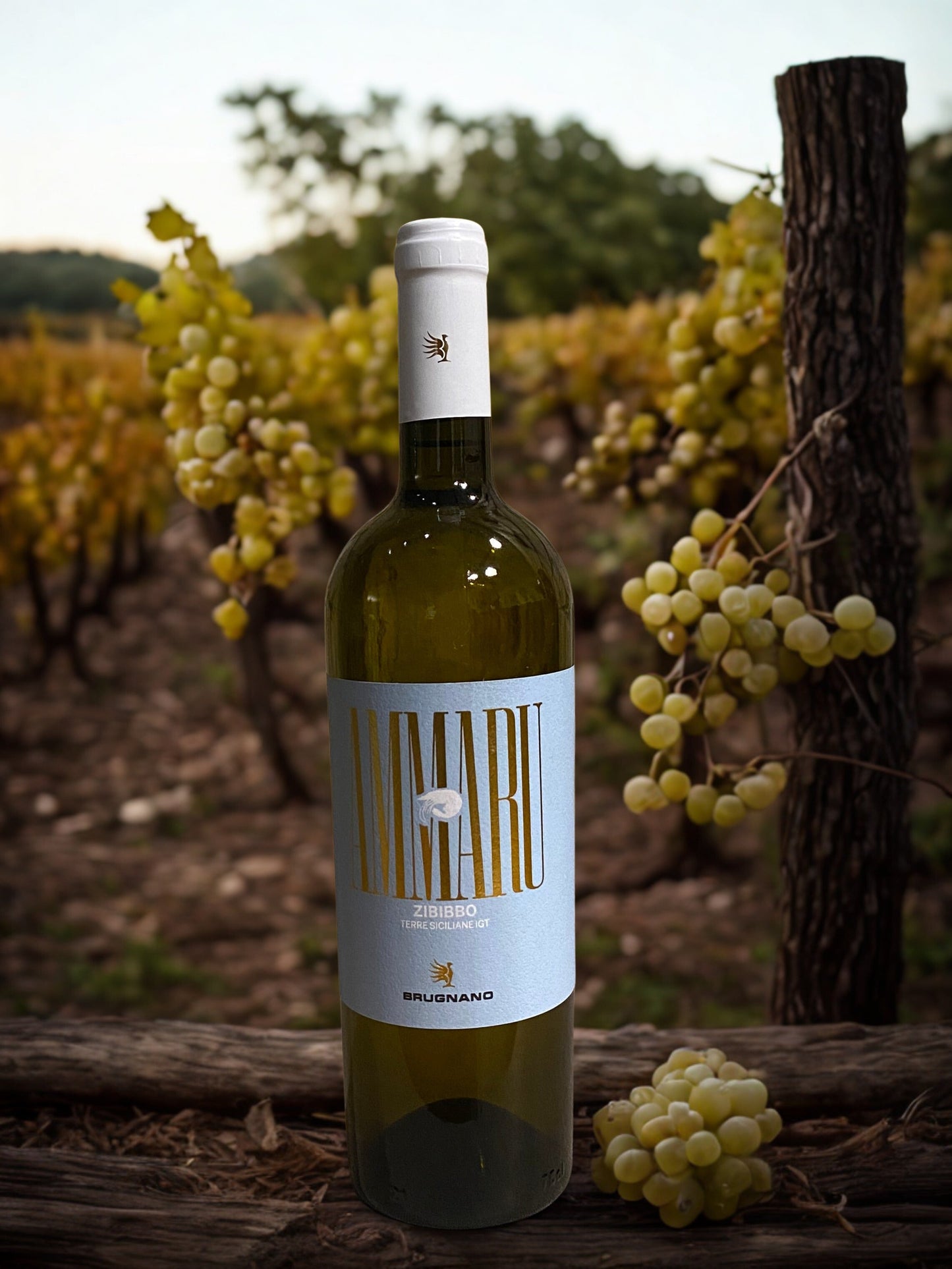 AMMARU ZIBIBBO-BRUGNANO BRUGNANO