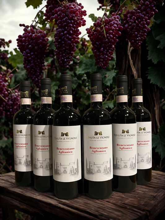 BUNDLE BENEVENTANO AGLIANICO IGP PRENDI 6 PAGHI 5-TENUTA LE VIGNOLE TENUTA LE VIGNOLE