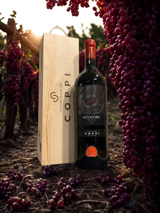 PRIMITIVO SENATORE D.O.C. GIOIA DEL COLLE 3L-COPPI COPPI