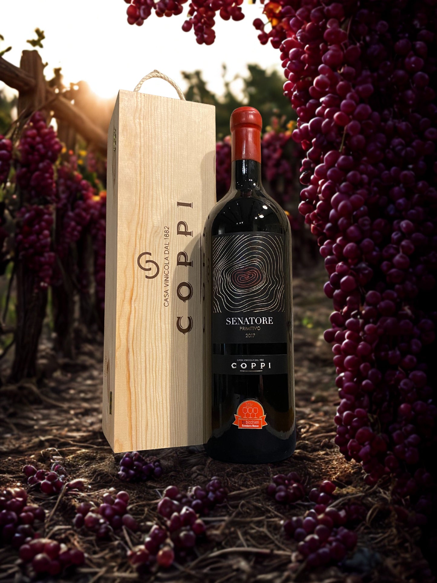 PRIMITIVO SENATORE D.O.C. GIOIA DEL COLLE 3L-COPPI COPPI