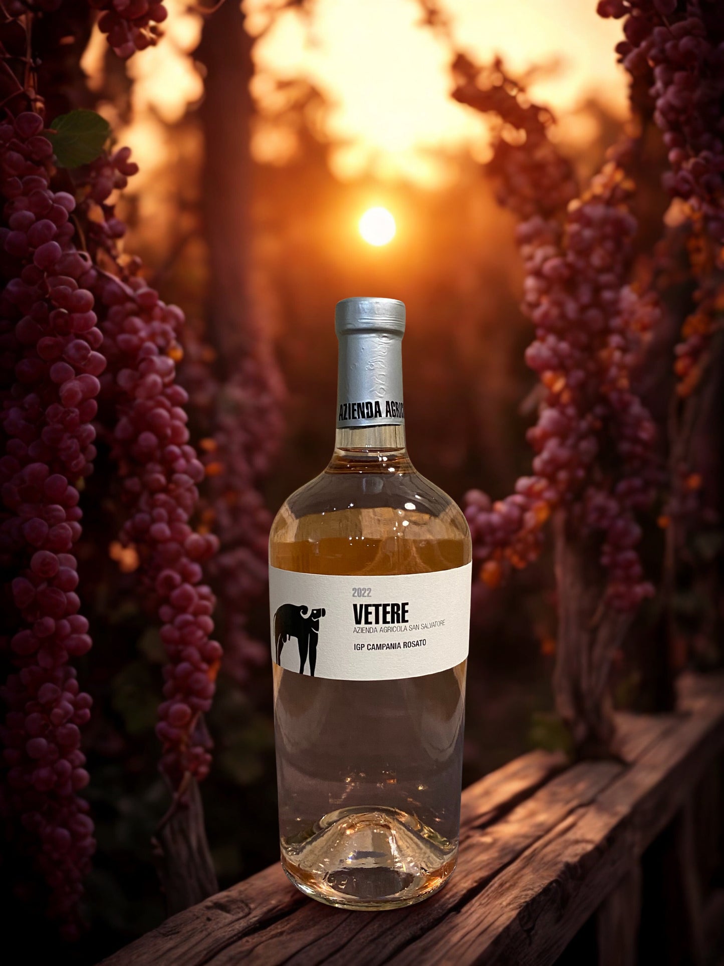 AGLIANICO VETERE IGP 2022-SAN SALVATORE TENUTA SAN SALVATORE