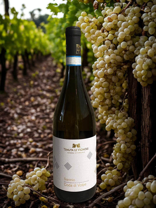 SANNIO CODA DI VOLPE-TENUTA LE VIGNOLE TENUTA LE VIGNOLE