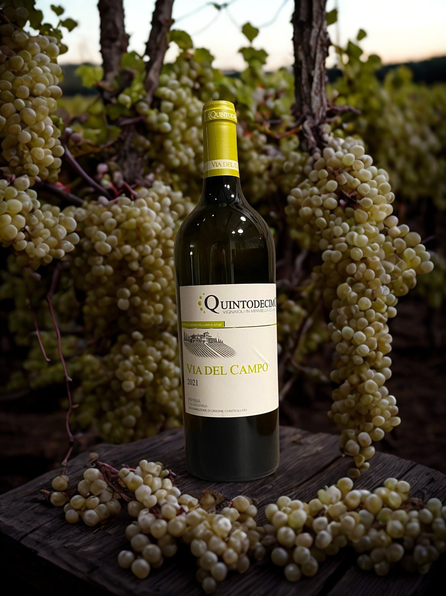 VIA DEL CAMPO-QUINTODECIMO QUINTODECIMO