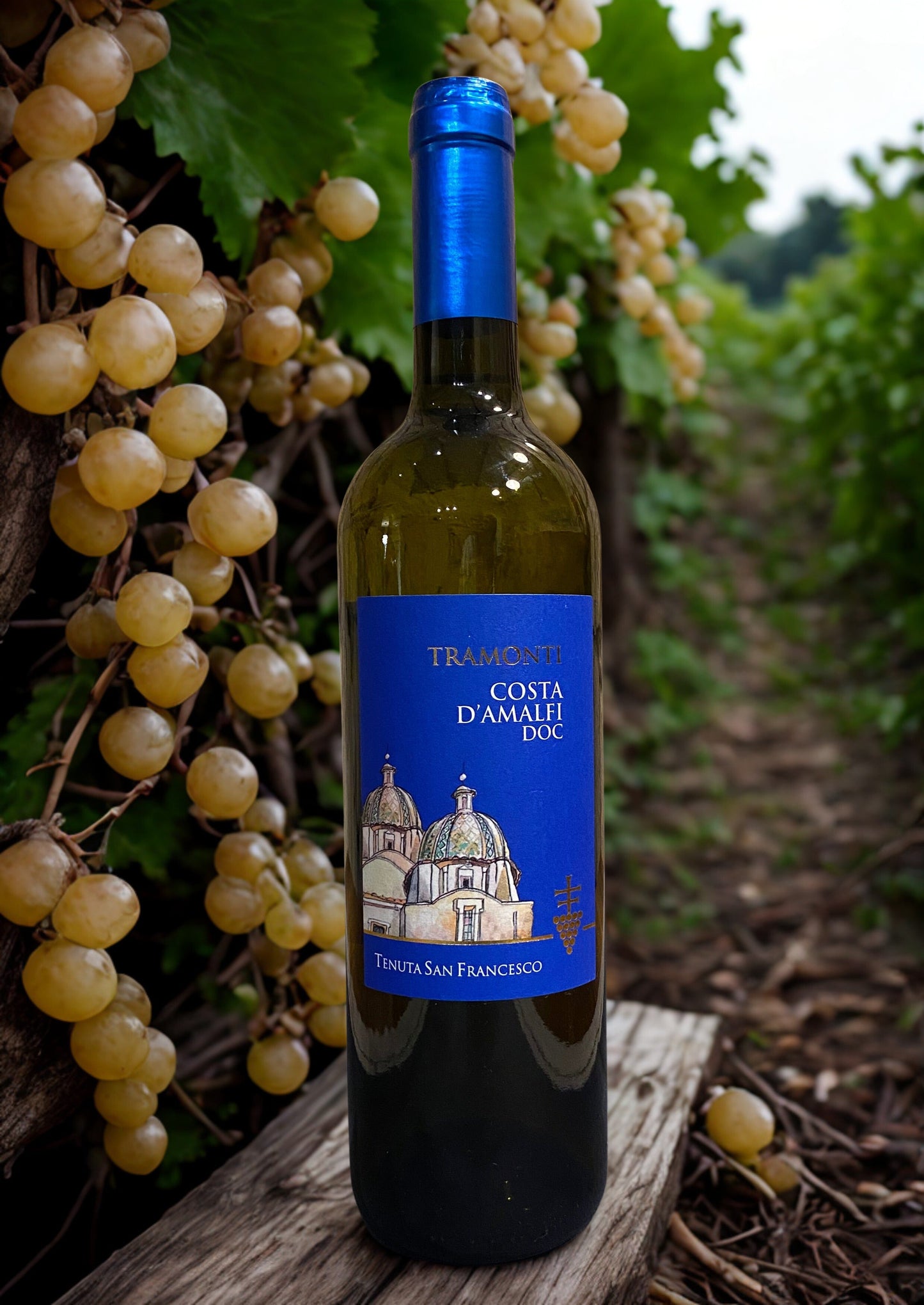 FALANGHINA TRAMONTI BIANCO COSTA D'AMALFI DOC 2022-TENUTA SAN FRANCESCO TENUTA SAN FRANCESCO
