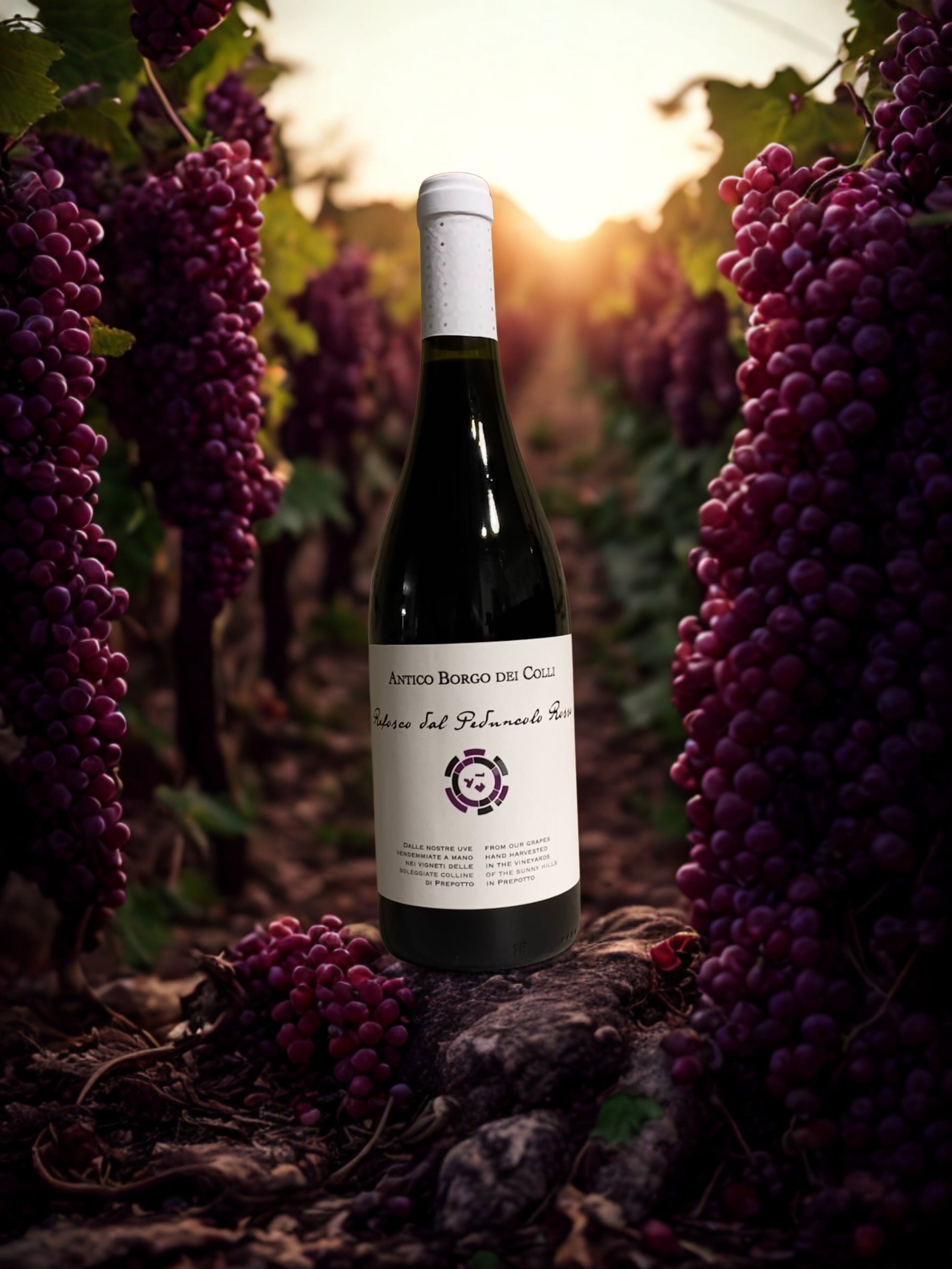 REFOSCO DAL PEDUNCOLO ROSSO-ANTICO BORGO DEI COLLI ANTICO BORGO DEI COLLI