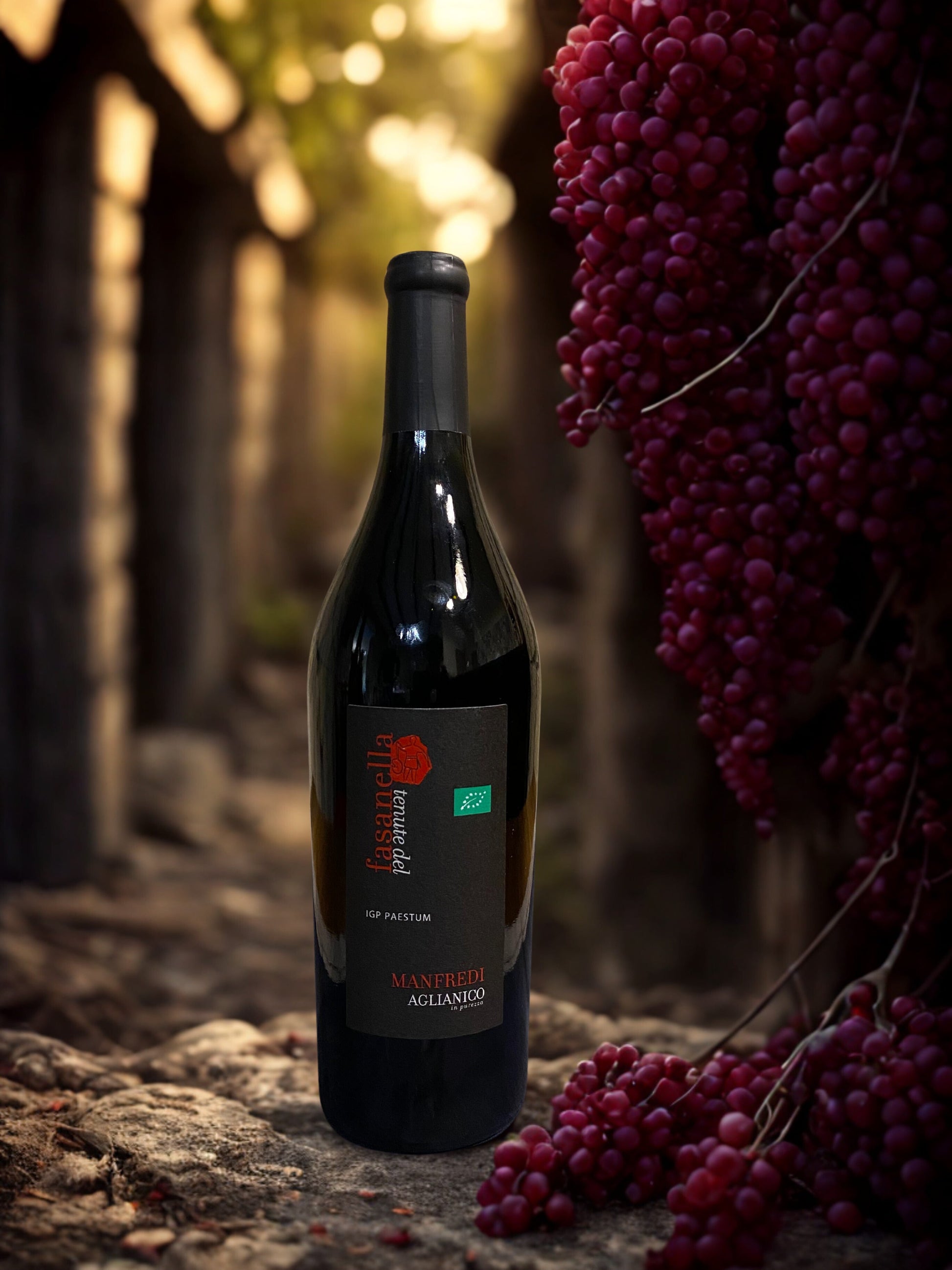 AGLIANICO MANFREDI IN PUREZZA IGP 2016-TENUTE DEL FASANELLA tenuta del fasanella